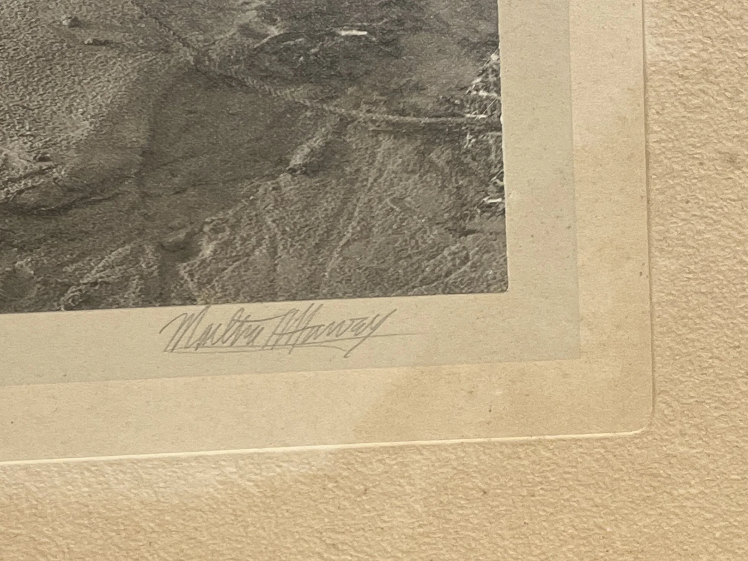 IMG_1718.jpeg