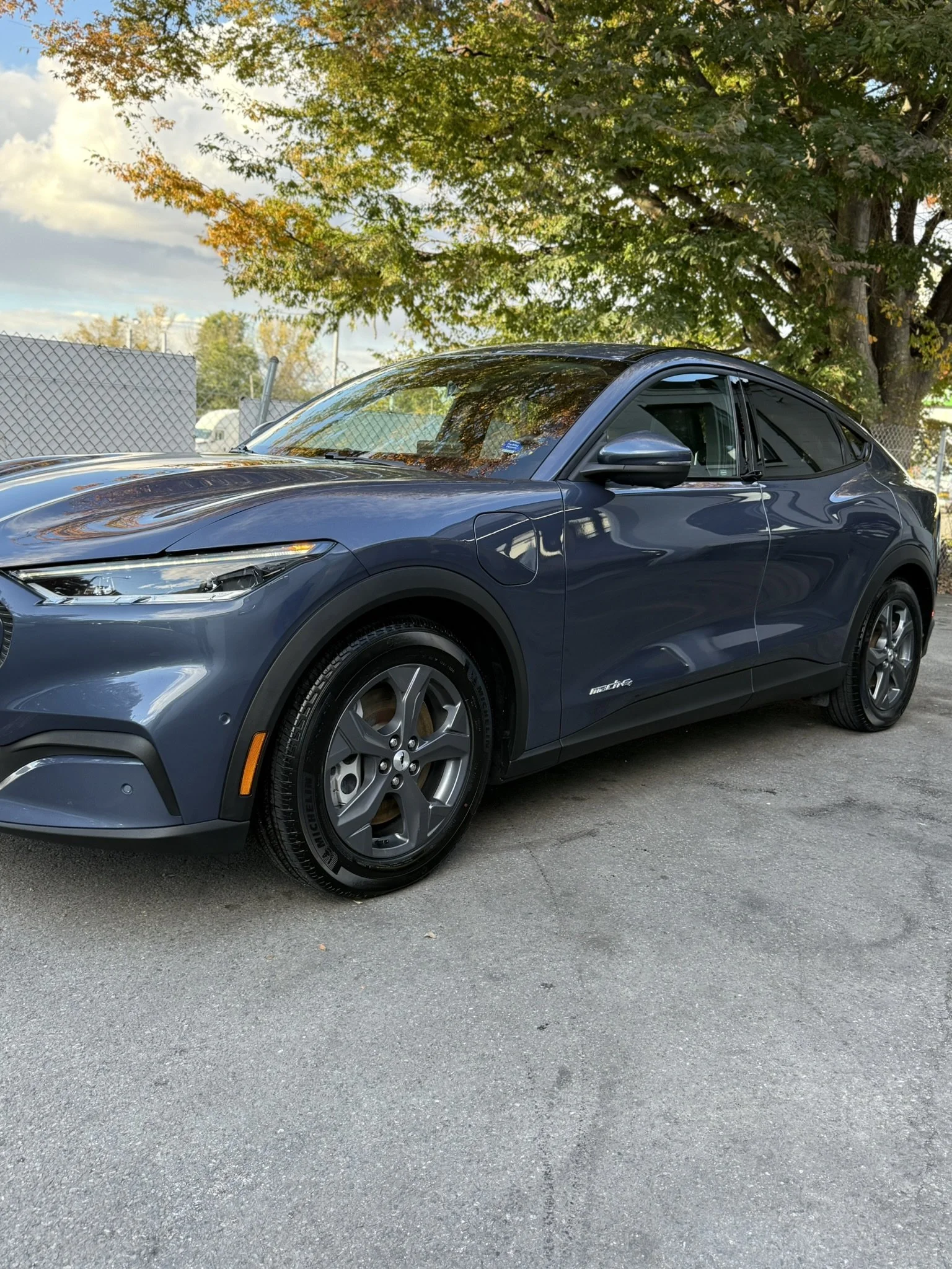 A dark gray or blue electric hatchback car parked on a street, with a large green tree in the background and a chain-link fence nearby.