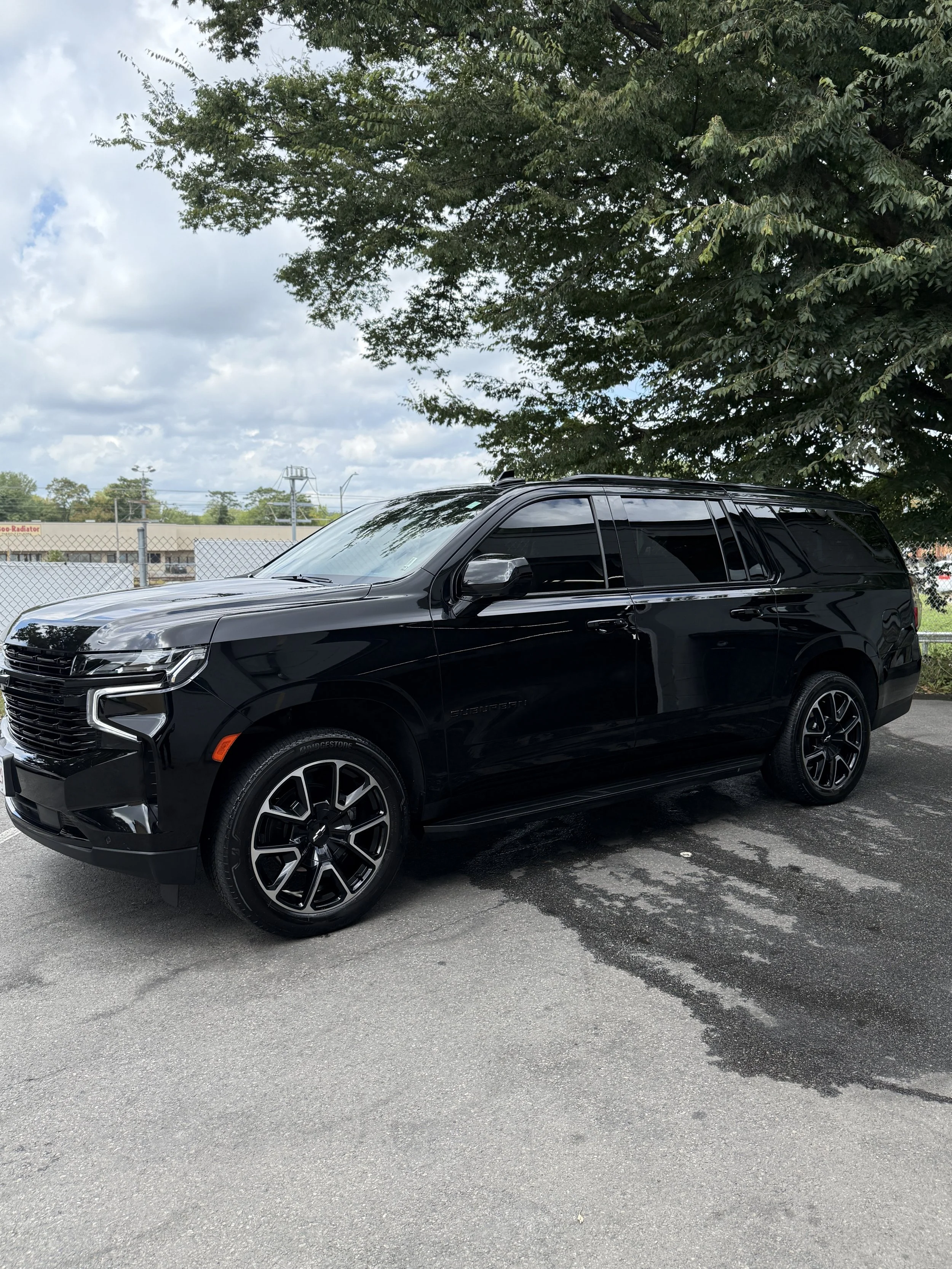 Black SUV parked on asphalt with black wheels, under a tree with green leaves, cloudy sky background.