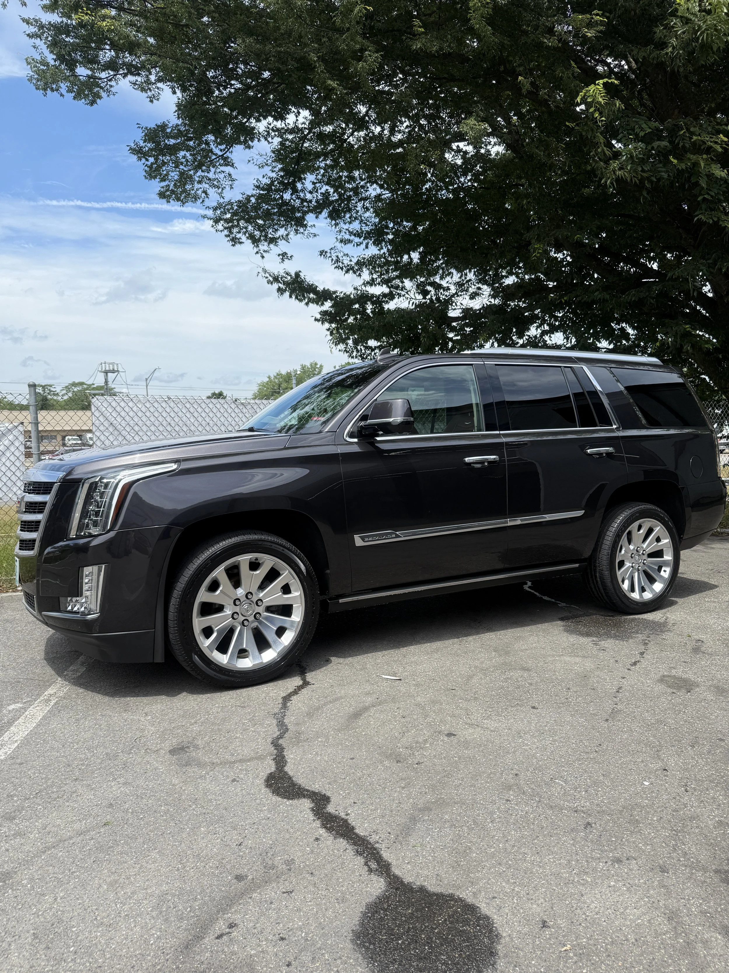 A black Cadillac Escalade SUV parked on a cracked asphalt lot under a large green tree with a cloudy sky in the background.
