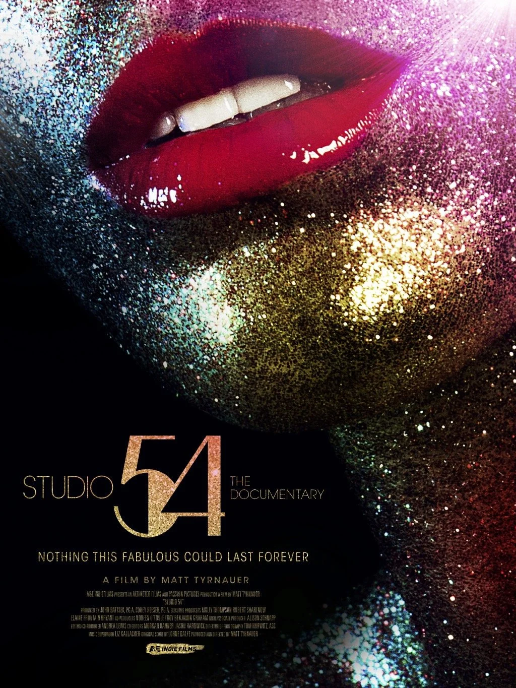 STUPID 54; Documentary Feature, Co-Producer