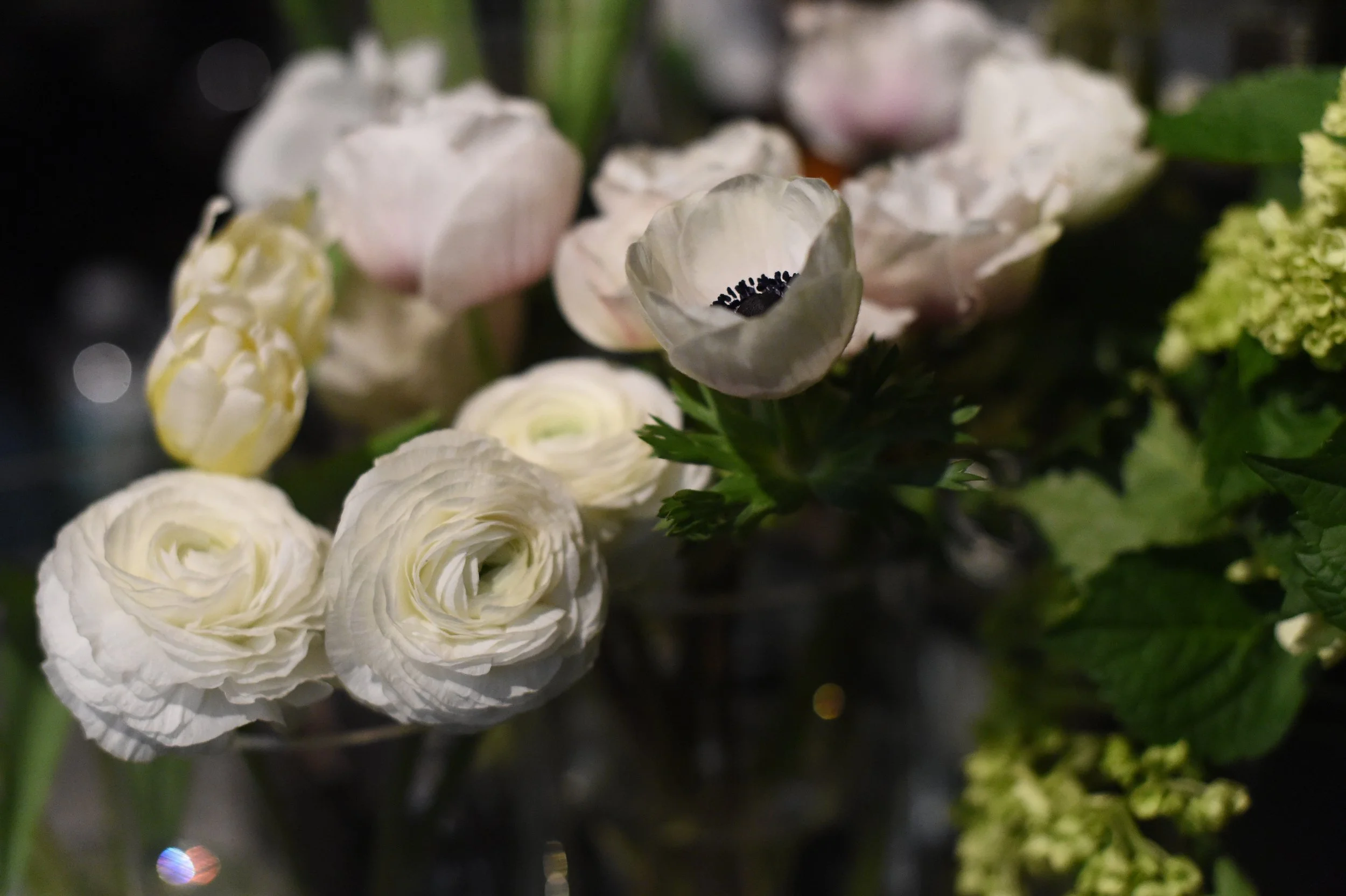 Why Smart People Freeze in Conversations