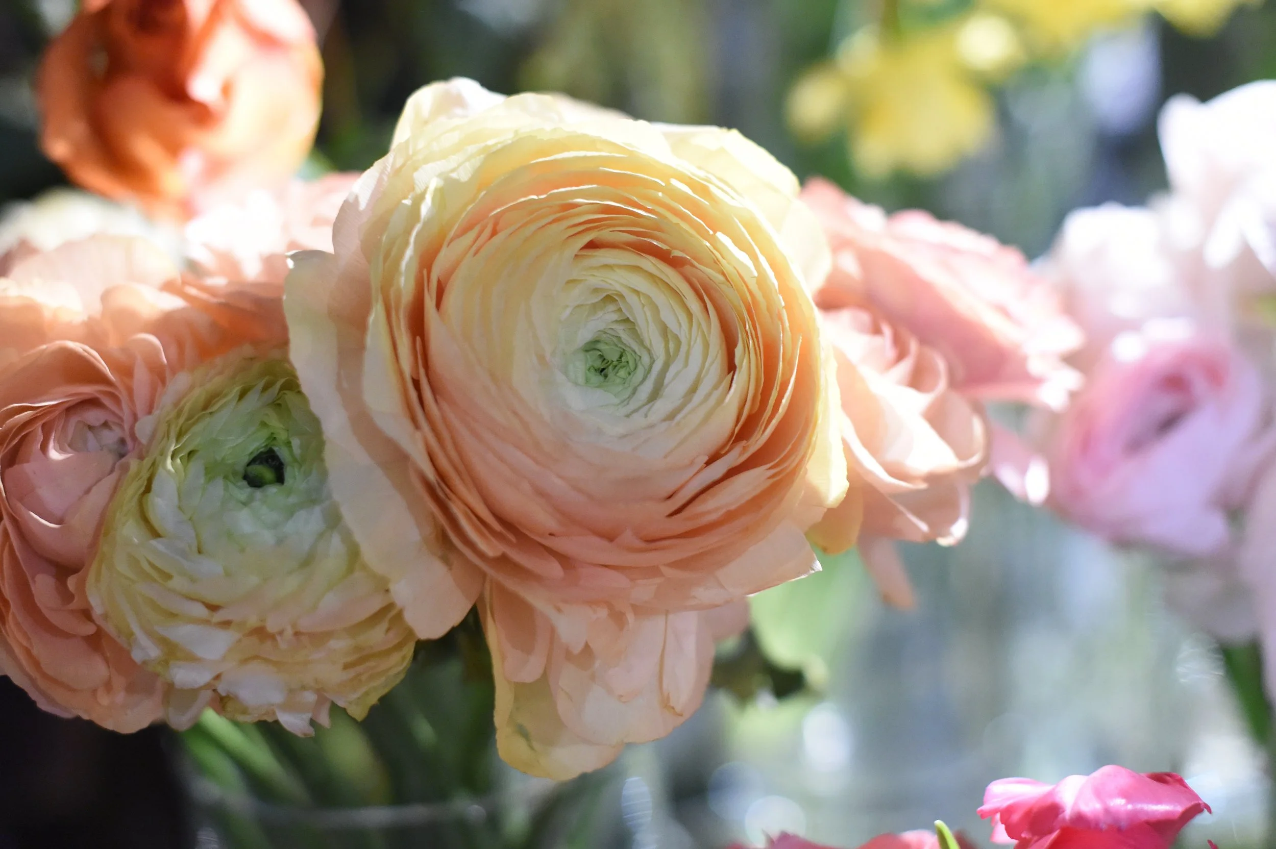 How to Stop Overthinking 