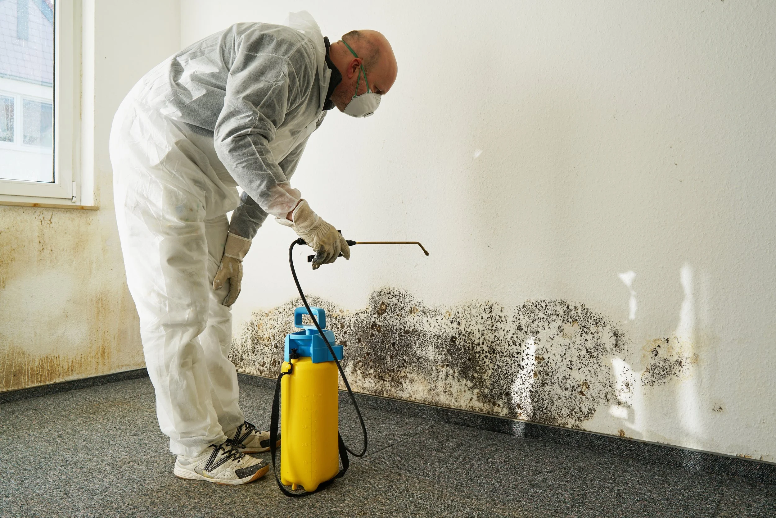 A person wearing protective gear and a face mask is using a sprayer to treat mold on a wall.