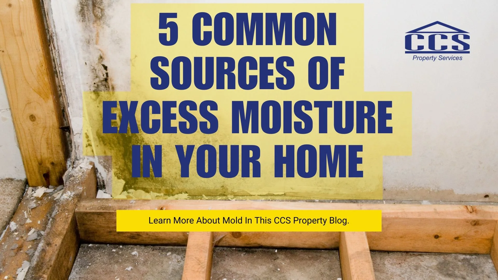 5 common sources of excess moisture in your home