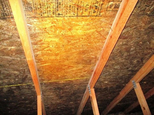 attic mold removal.jpg