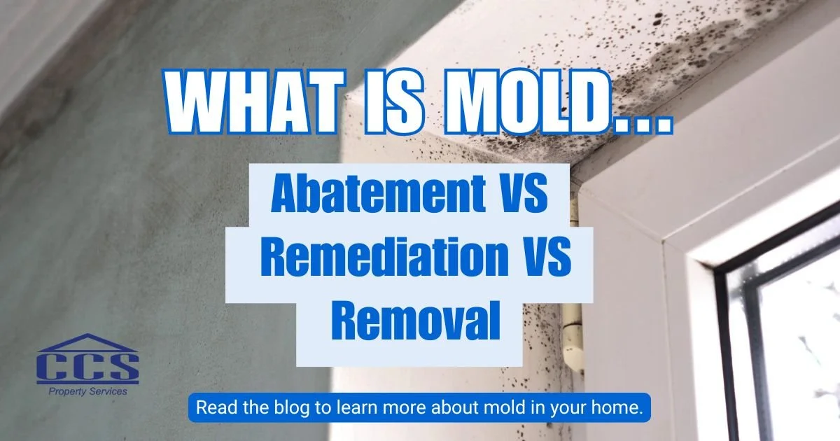 What is Mold Abatement, Mold Removal, or Mold Remediation?