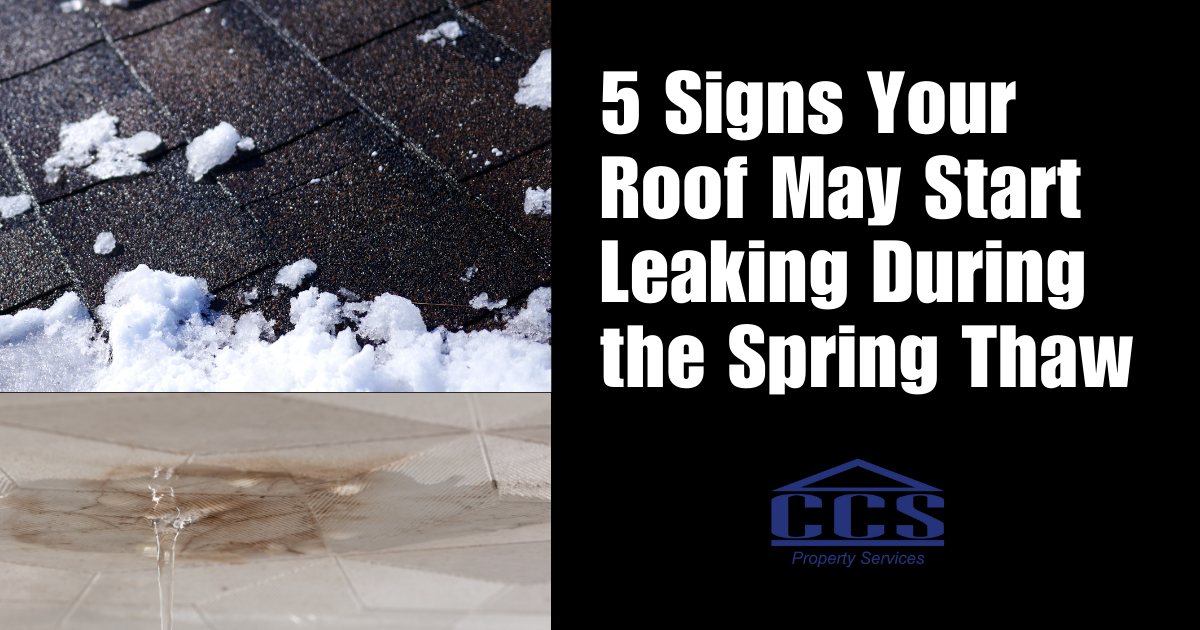 5 Signs Your Roof May Start Leaking During the Spring Thaw