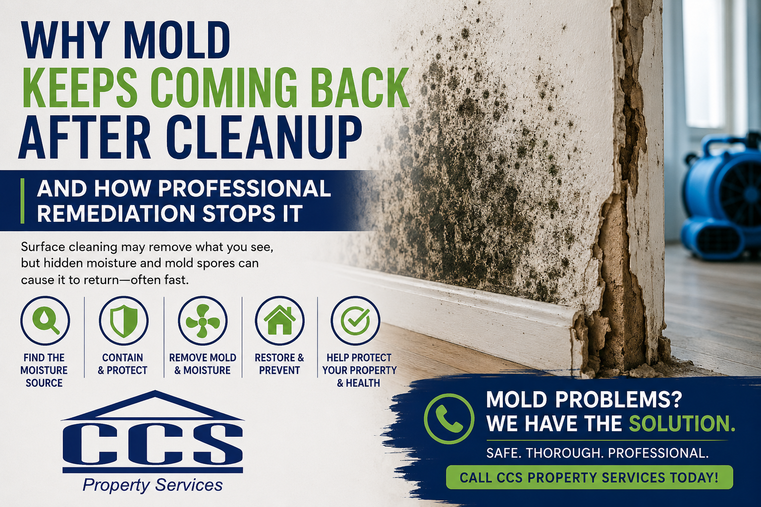 Why Mold Keeps Coming Back After Cleanup — And How Professional Remediation Stops It