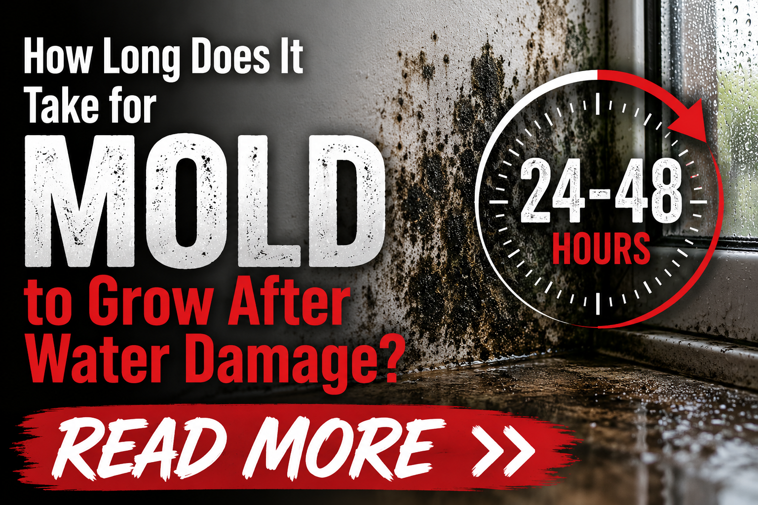 How Long Does It Take for Mold to Grow After Water Damage?