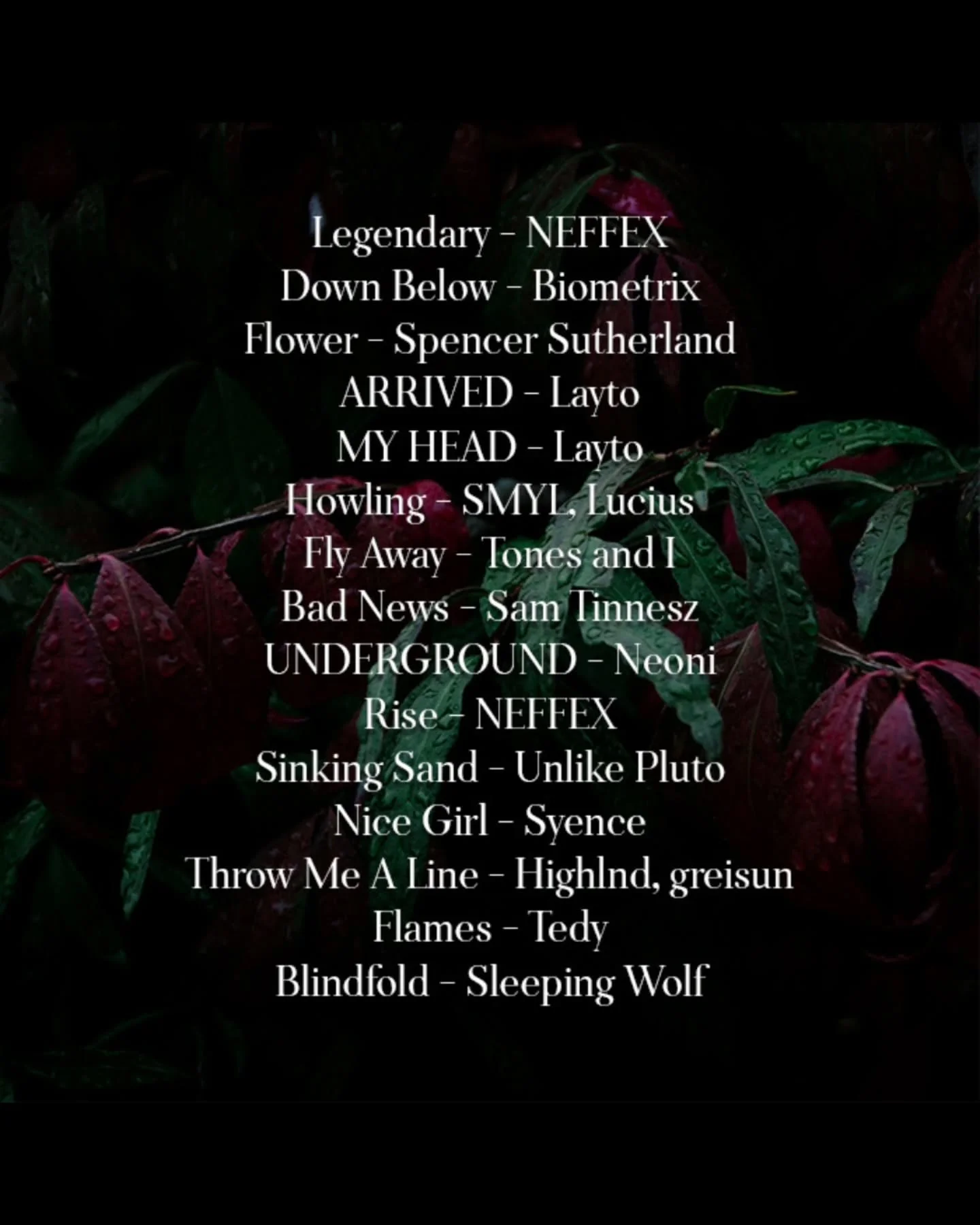 The playlist for Grave of a Fiery Poison! That way you can listen while you read if that's your thing. 😉

Who's your favorite artist?

I don't particularly have one but David Kushner is definitely high up there. 

He's not the same man.

Grave of a 