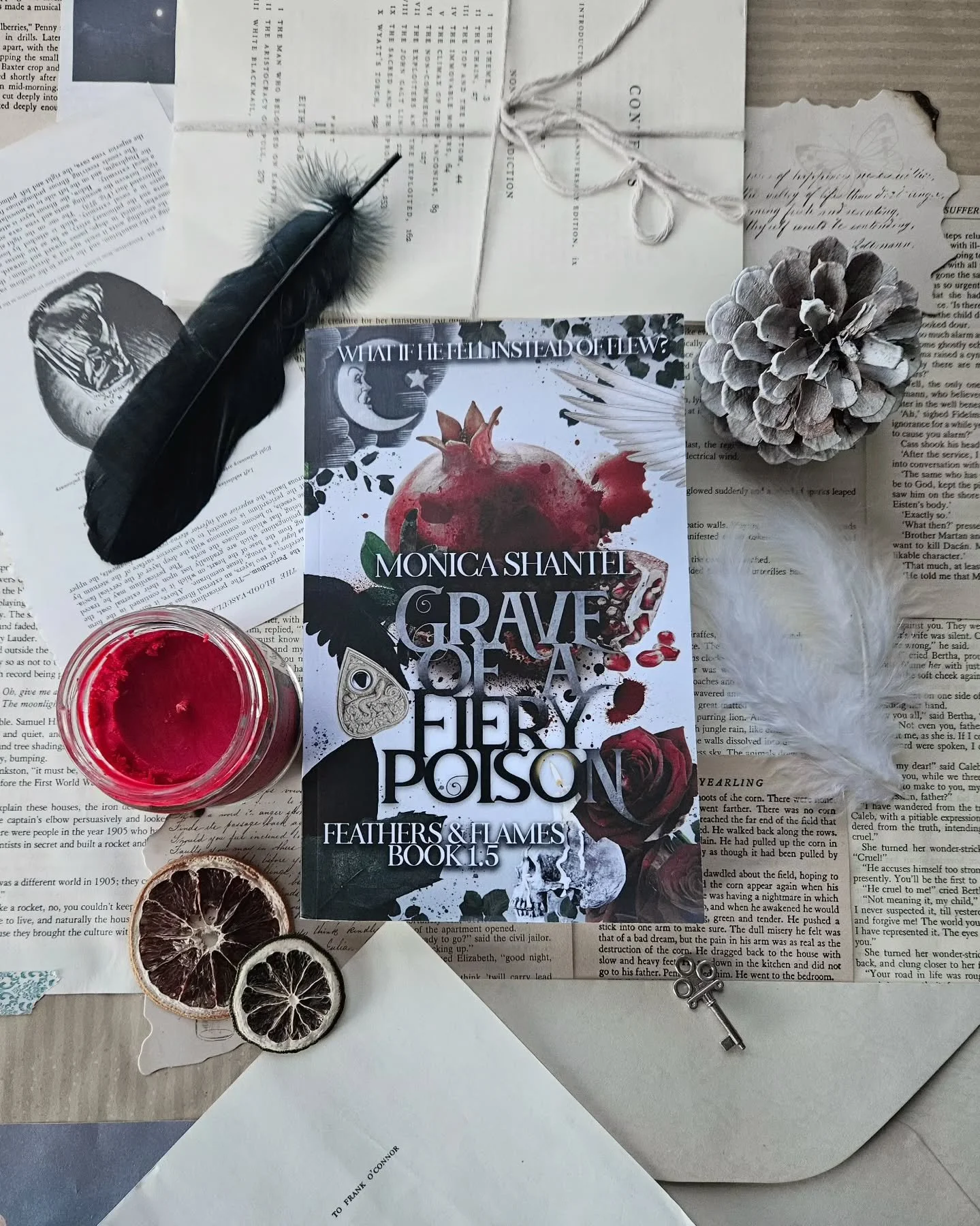 ❤️

He's not the same man.

Grave of a Fiery Poison is a low spice what-if version that's Fallen x Supernatural. It can be read alongside books 2&amp;3 in the Feathers &amp; Flames trilogy, following book 1, or it can be read in place of books 2&amp;
