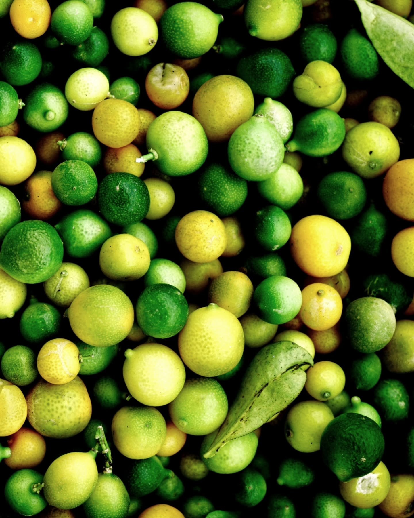 When life gives you lemons...and limes...