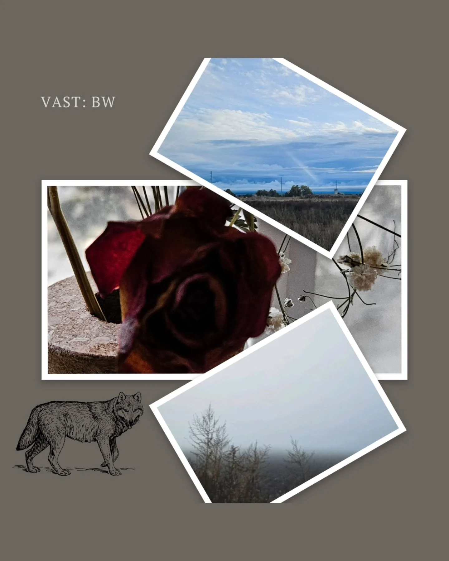 Happy Friday! I am OFFICIALLYYYY posting about my next WIP. 🤭 So until Monday, here's a little vibe post i made like a year ago for this trilogy. 

The vibes of each book. Can you guess the other fairytales? By now I am on the second draft of Bad Wo