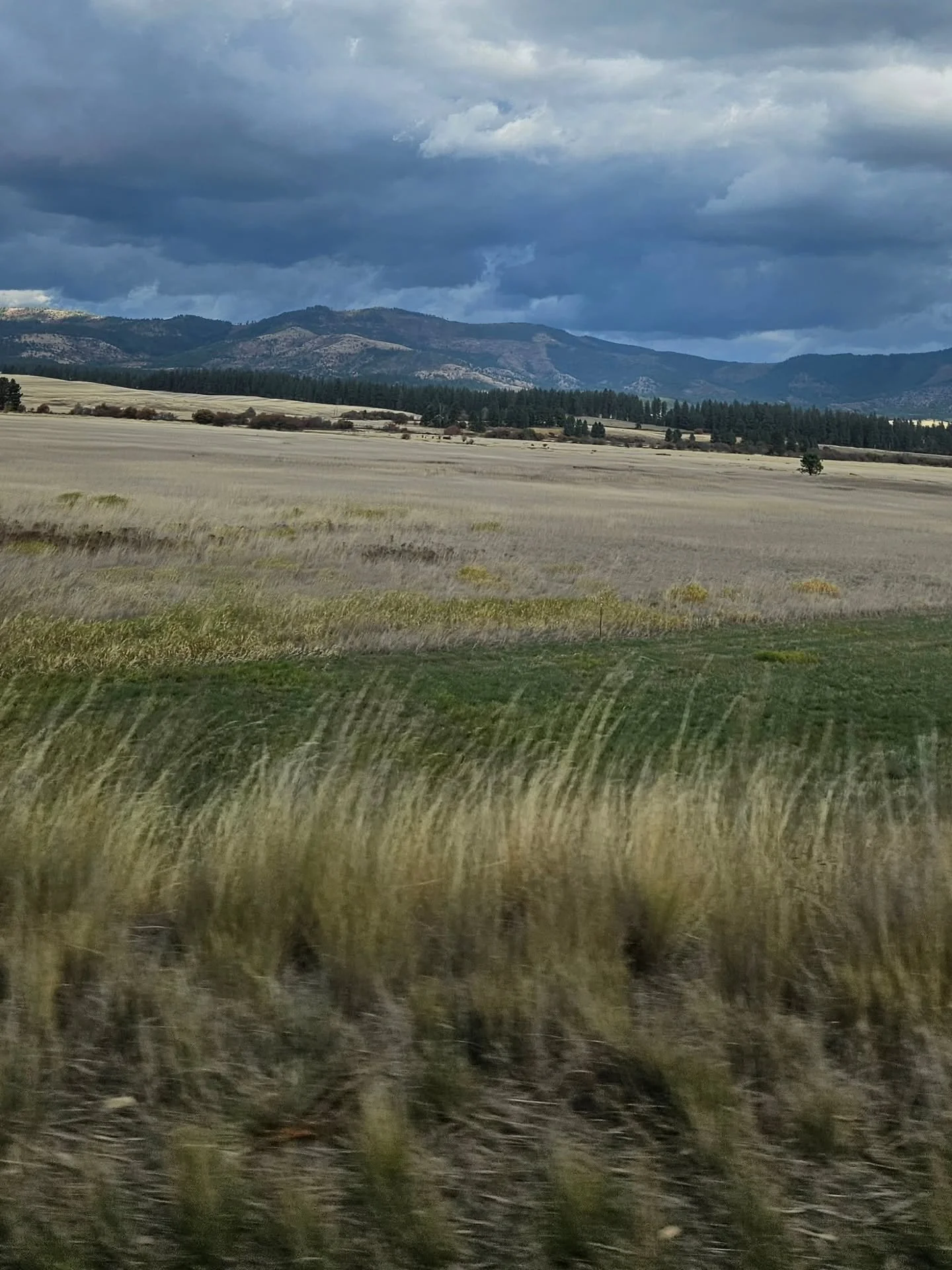 It was about due time I got these posts up. 🤣 On time for more pictures to come...