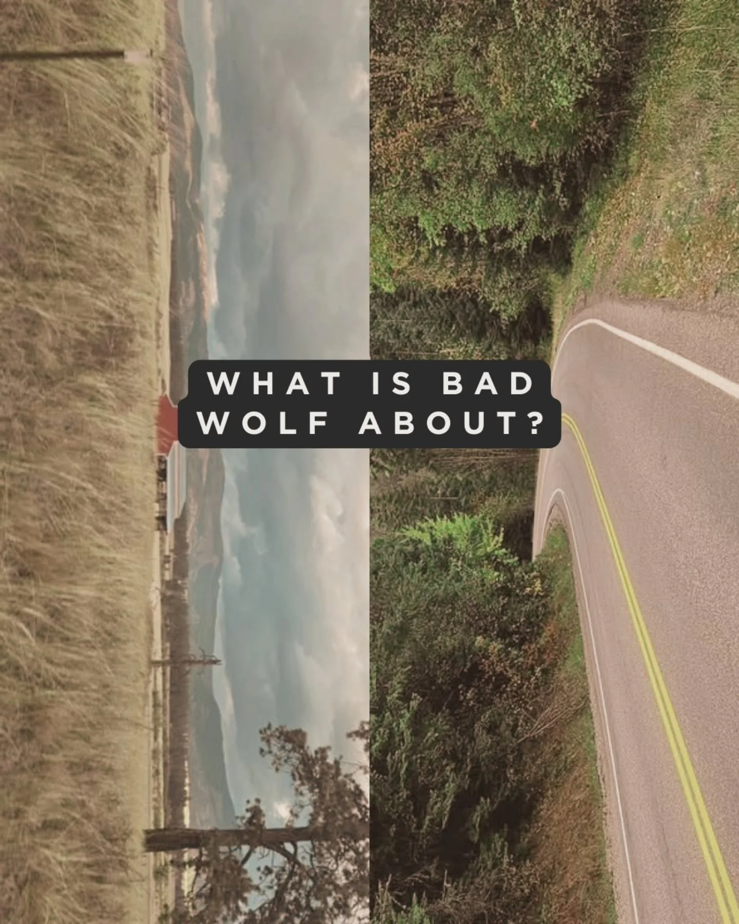 Time to start talking about THE STORY.

This entire concept came to me throw a nightmare so you're welcome for that. 🤣 If I was traumatized, you are too.

What's your favorite food?

Mine is lasagna. I'm a Garfield all the way.

VAST: Bad Wolf is th