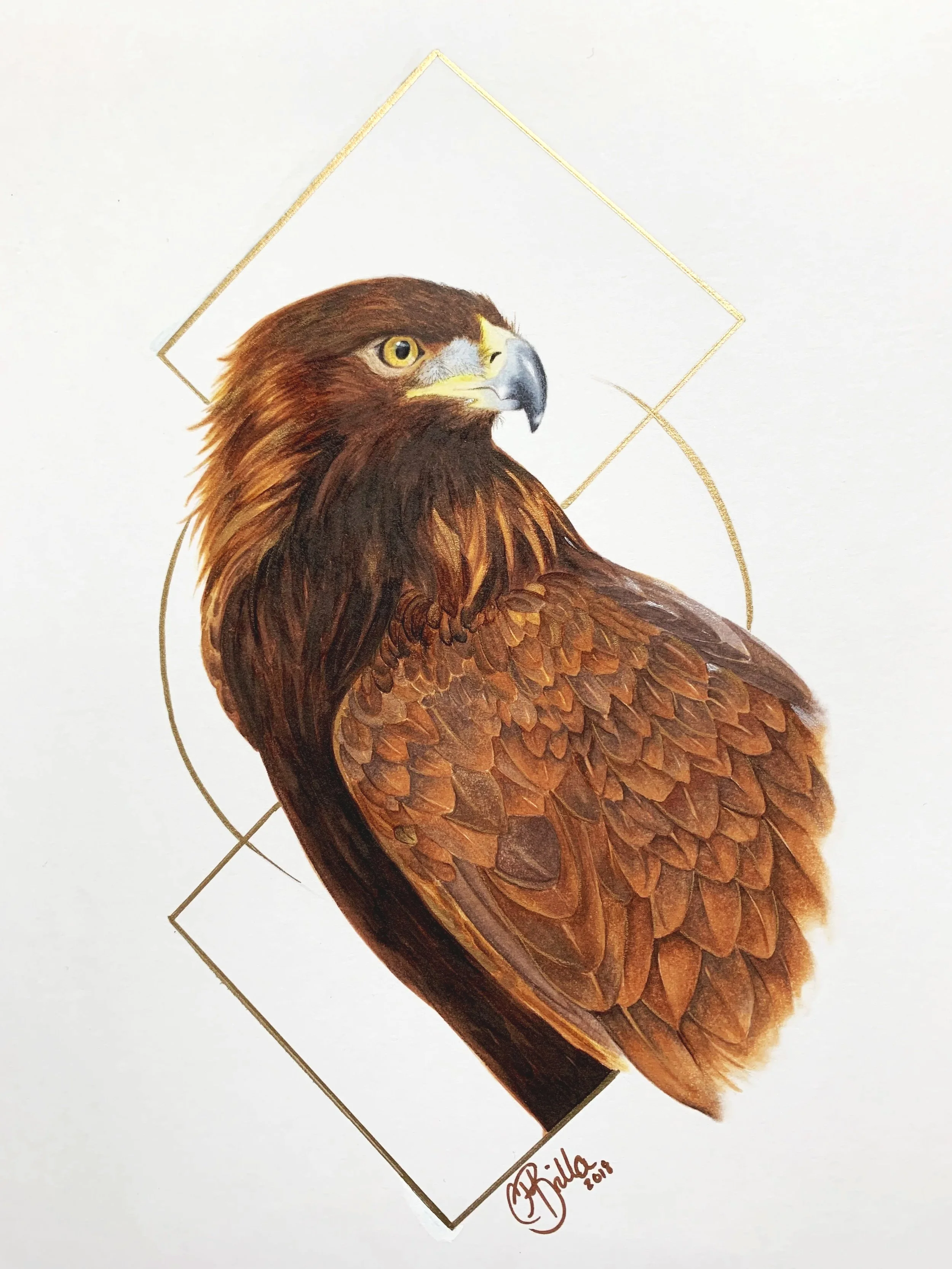 Detailed colored illustration of a golden eagle with piercing yellow eyes and brown feathers, framed by gold geometric lines.