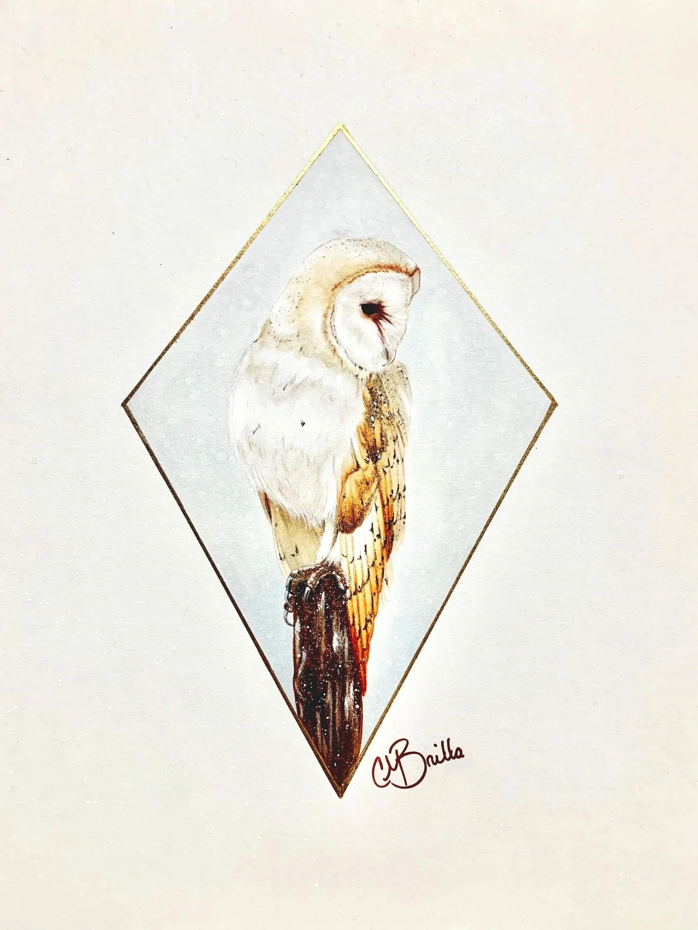 Watercolor painting of an owl perched on a tree branch inside a diamond-shaped frame, signed by C. Brilla.