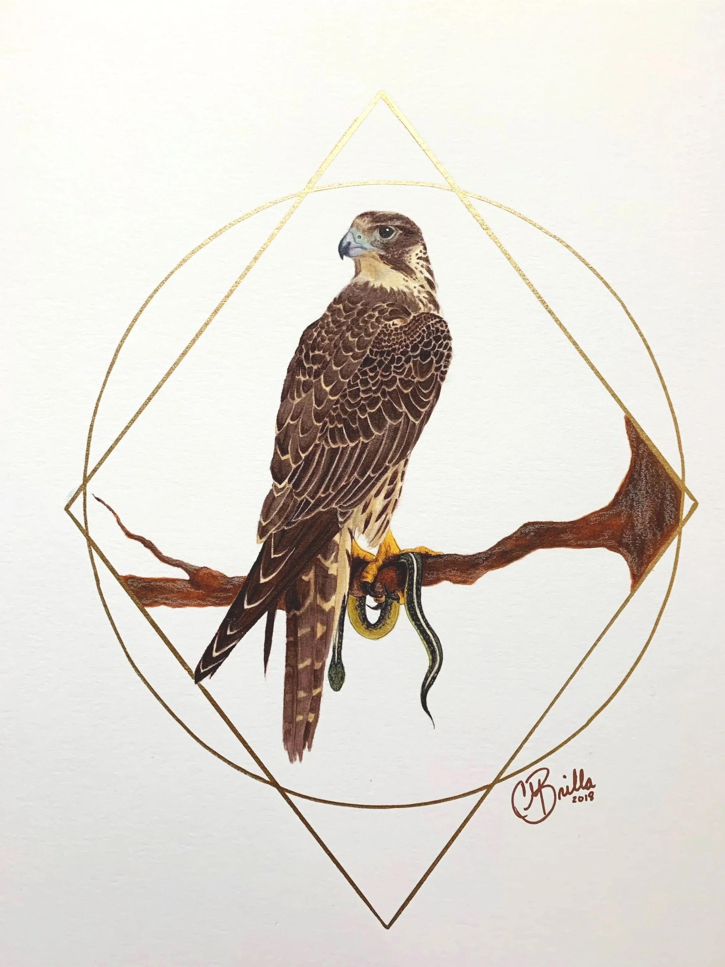 Illustration of a hawk perched on a branch with a snake hanging from its talon, surrounded by a geometric gold frame. Signed by the artist, 2019.
