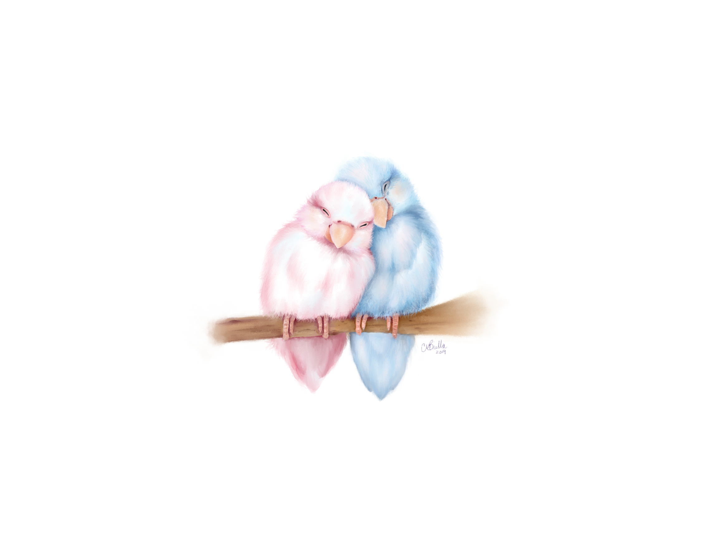 Watercolor painting of two small, fluffy birds, one pink and white and the other blue, sitting closely on a light brown branch with their eyes closed.