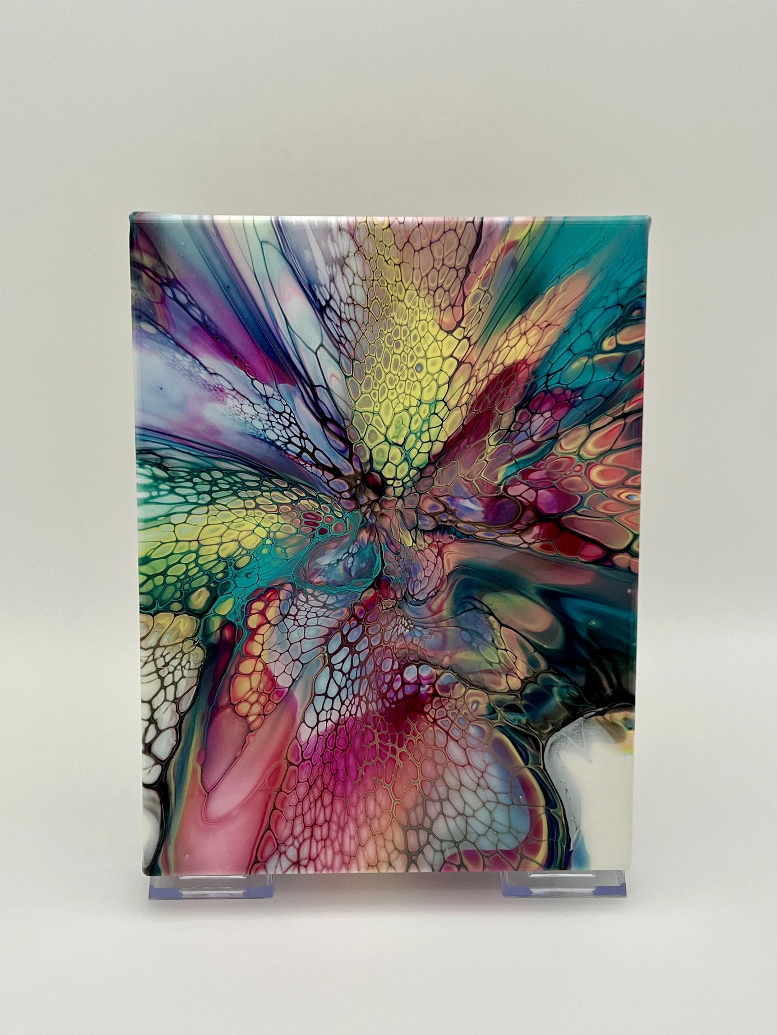 Colorburst Butterfly