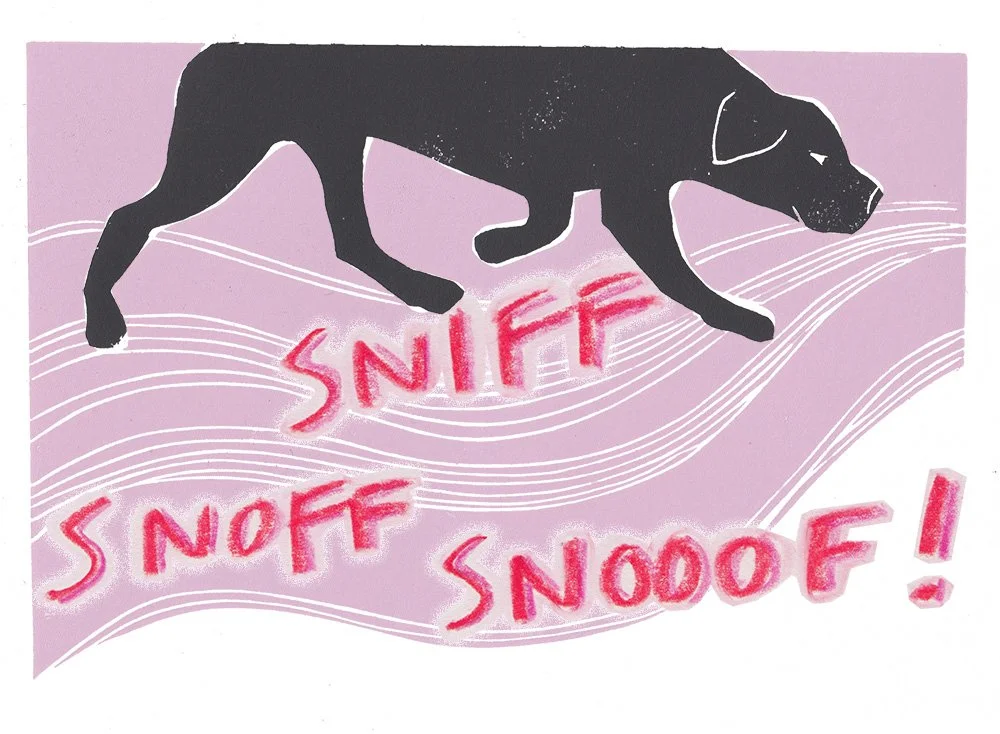 SNOF.jpg