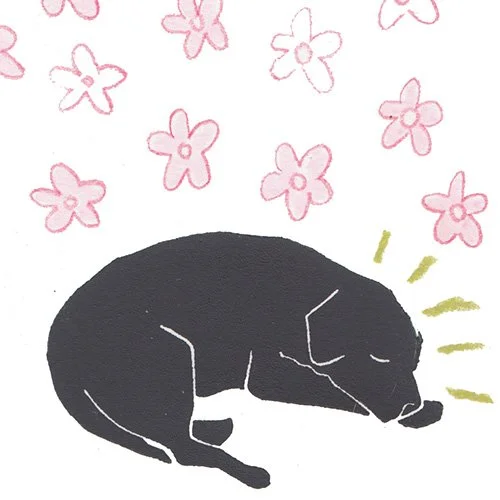 image 1.jpg