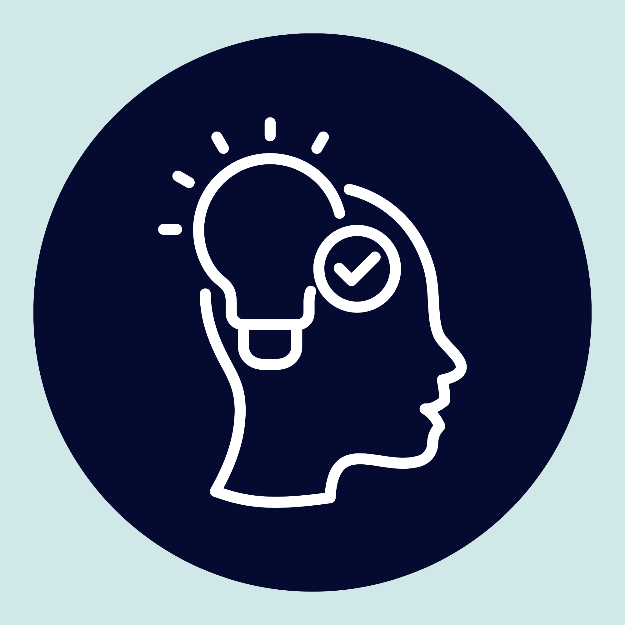 Illustration of a lightbulb with a check mark inside, set against a dark circular background with radiating lines, symbolizing innovative ideas or solutions.