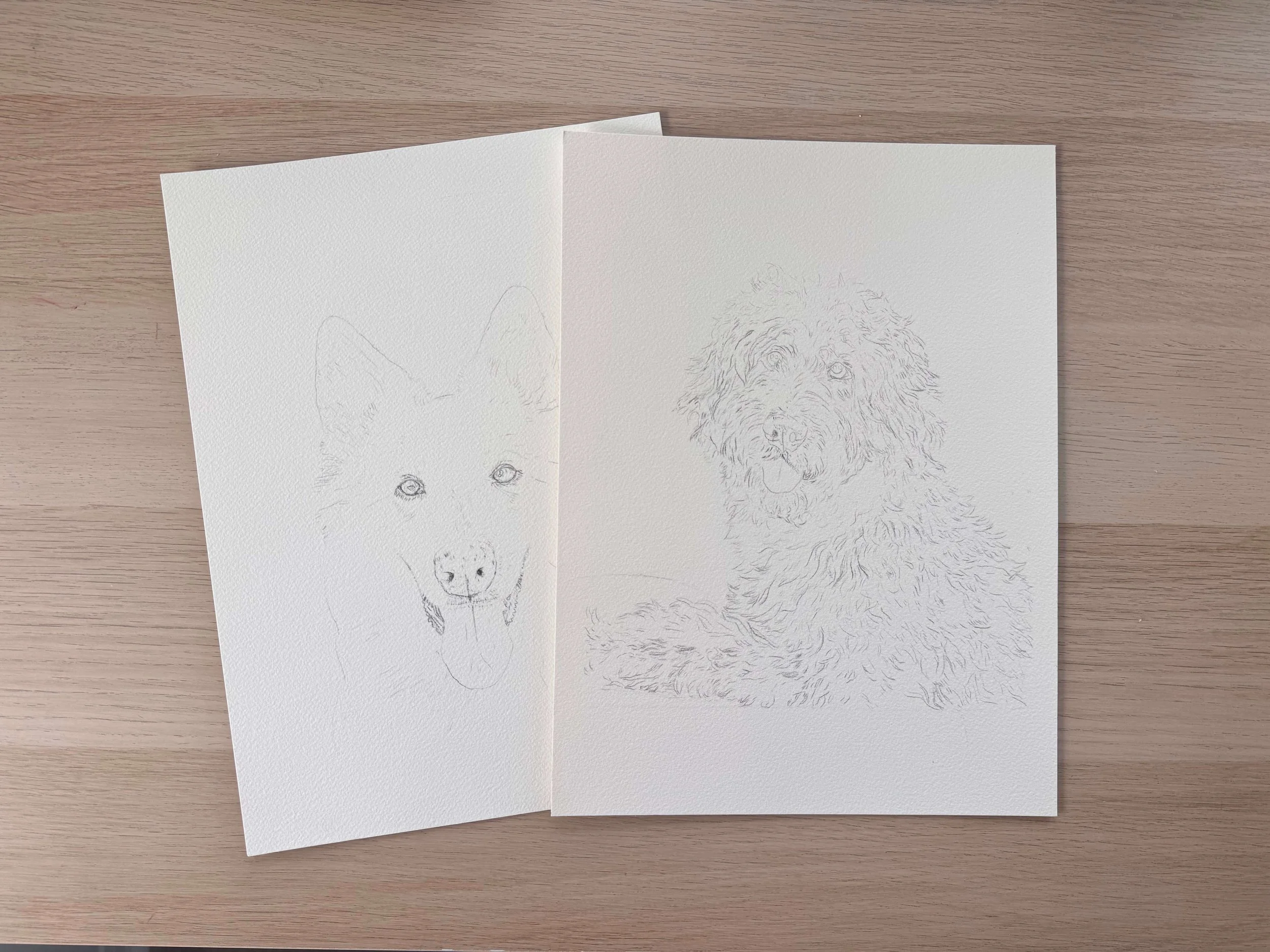 Hand-sketched pet portraits of two dogs justbethdesigns.jpeg