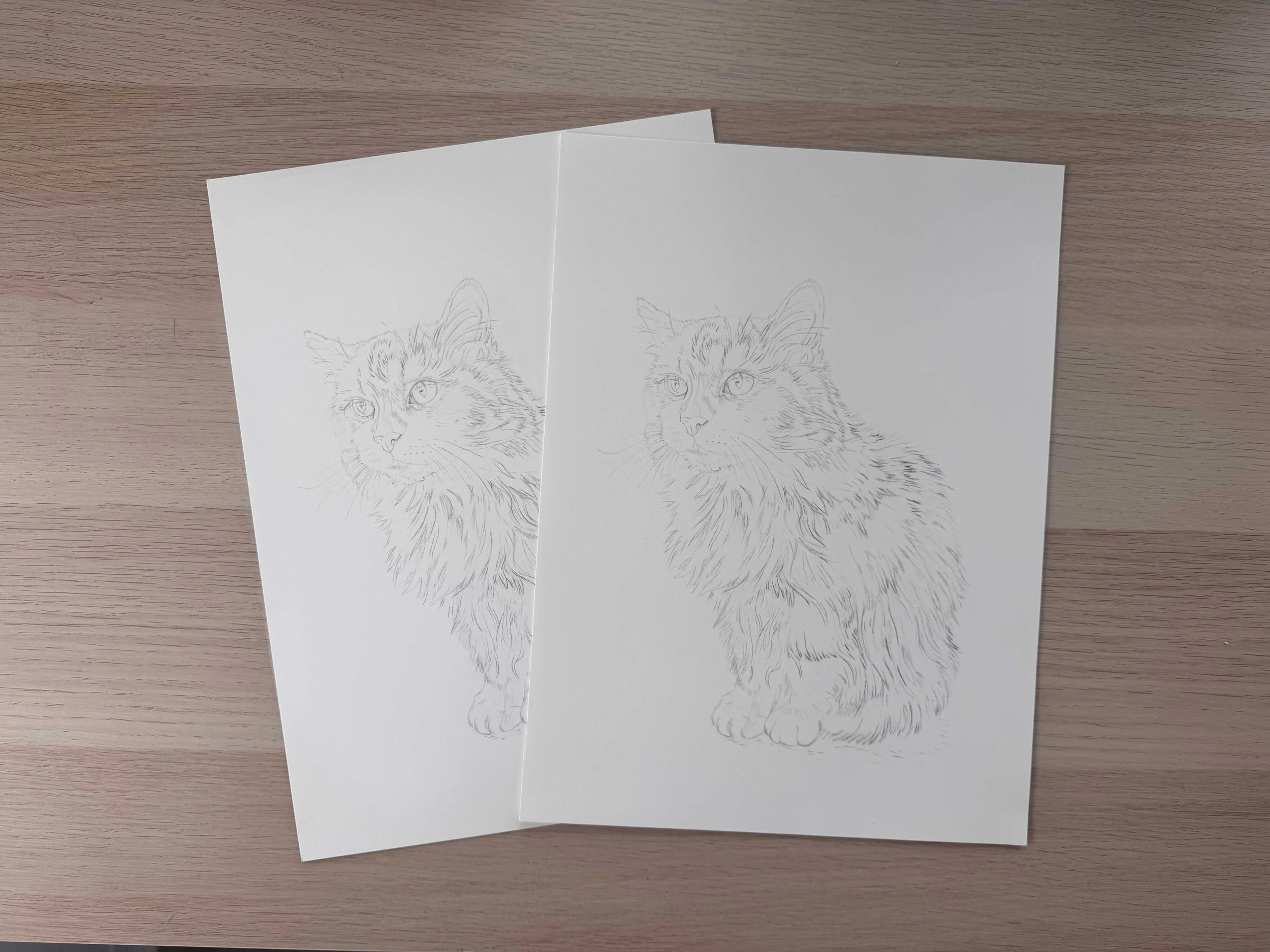 Duplicate-hand-sketched-cat-portrait-justbethdesigns.jpg