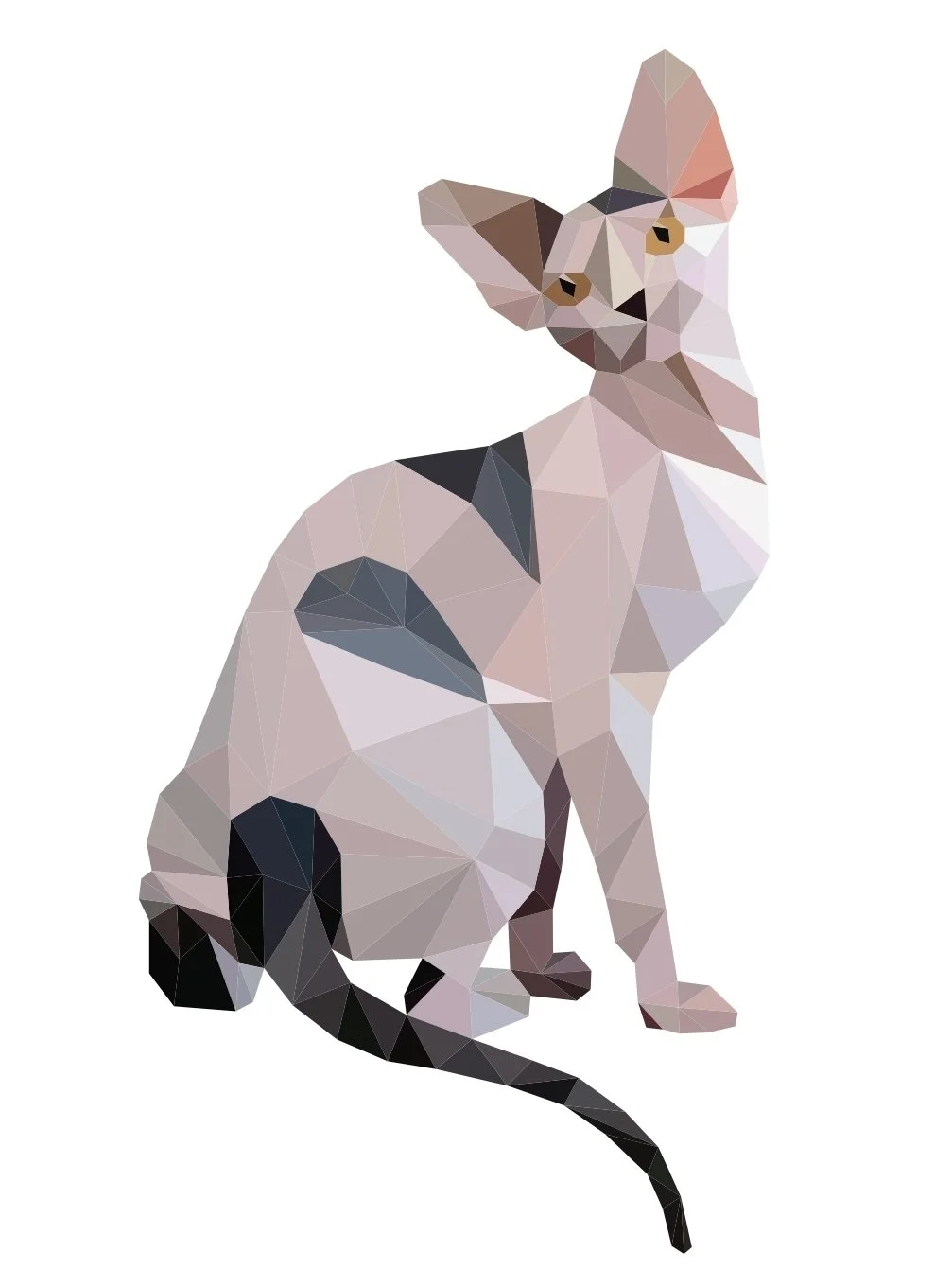 The third in a series of geometrically shaped cats.