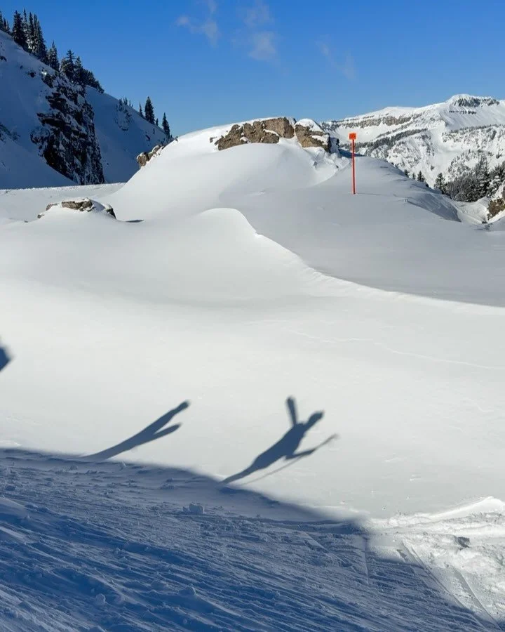 Some ski, some board, but we all shred