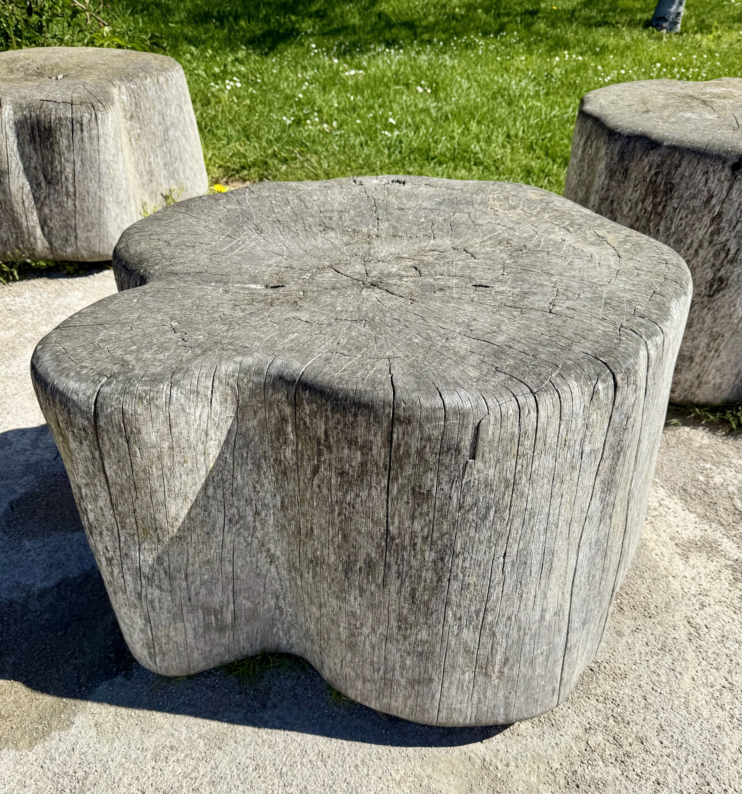Several large, round, weathered wooden stumps used as outdoor seating on a sandy surface with grass and small white flowers in the background.