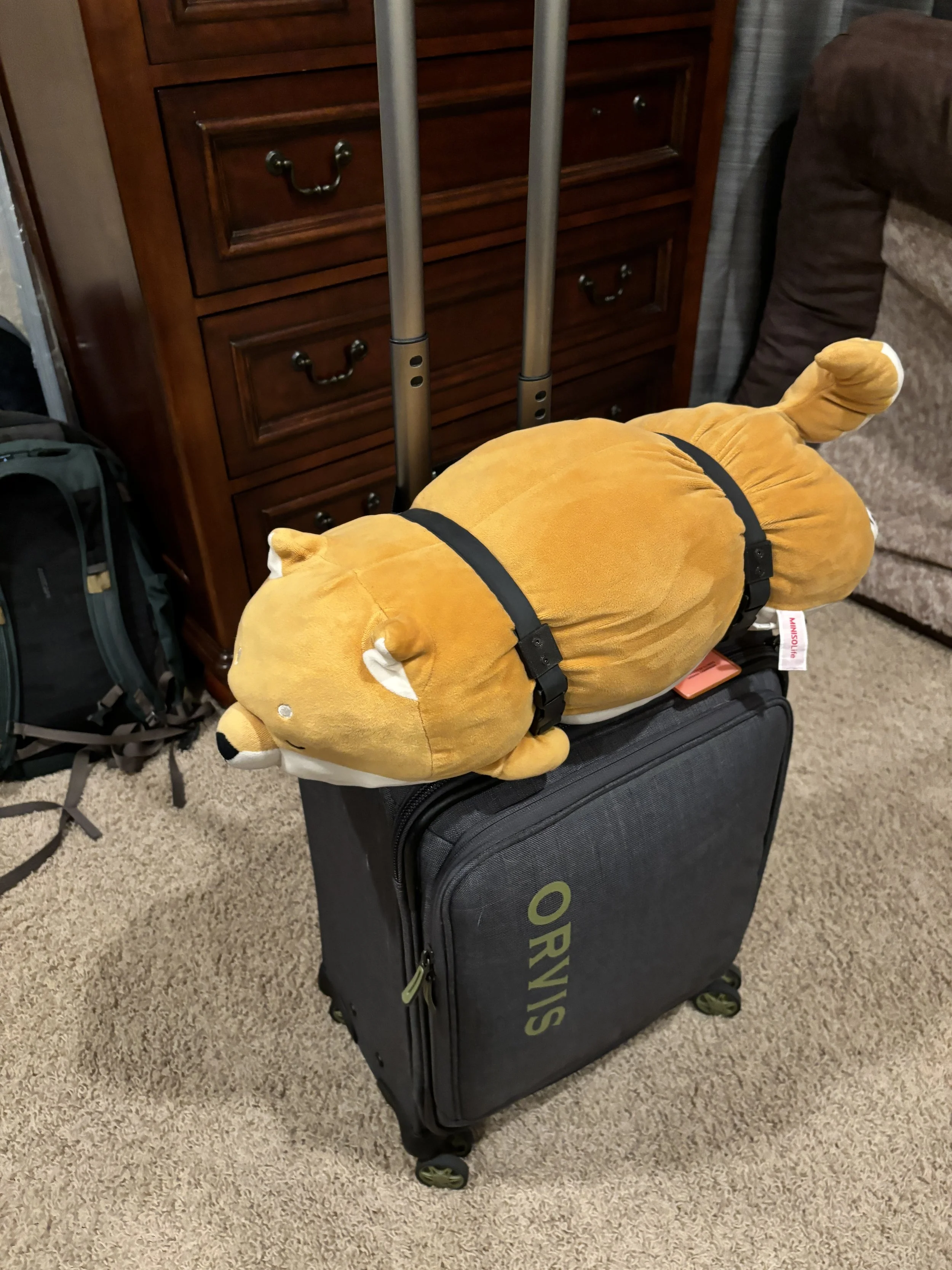 A harness to help my girlfriend travel with her favorite plushie