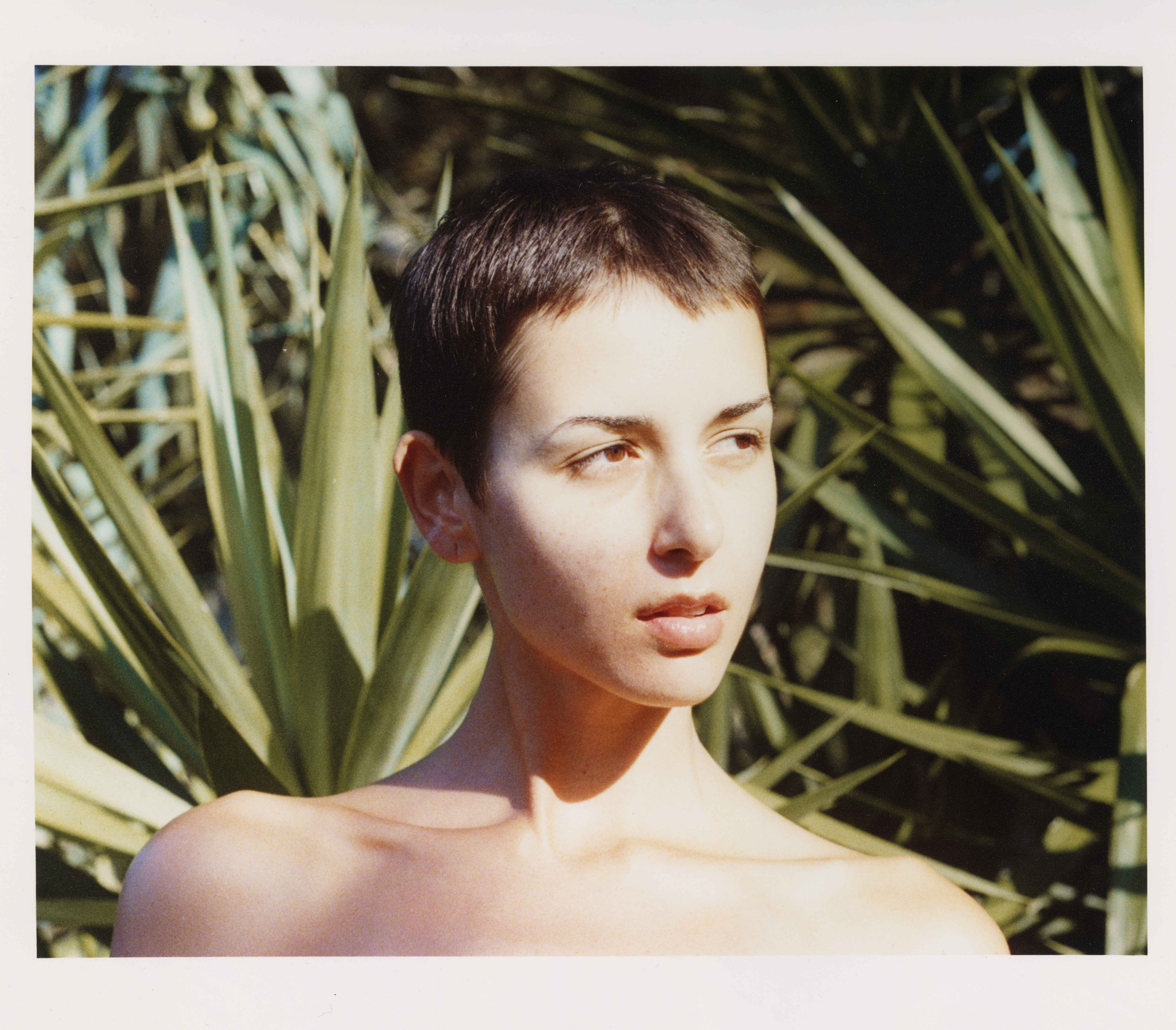 Contemporary film photography exploring the relationship between landscape, light and organic textures.