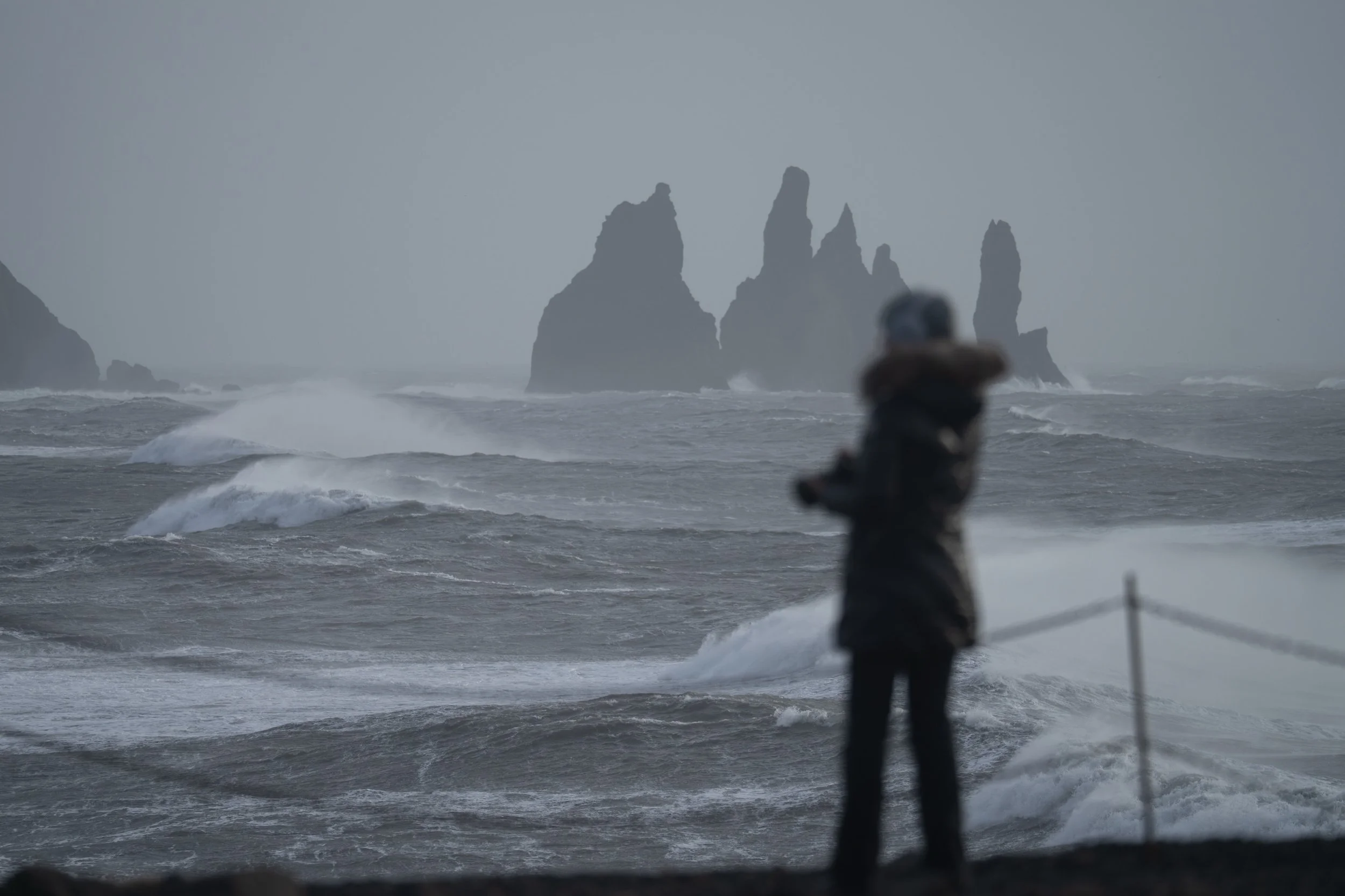 Lluvia, viento y, probablemente, una de las lentes con las que m&aacute;s disfrut&eacute; fotografiando Islandia. 🤍
Desliza para ver algunas de mis im&aacute;genes favoritas con el Tamron 150-500mm. 📷🇮🇸

@tamron_europe #islandia