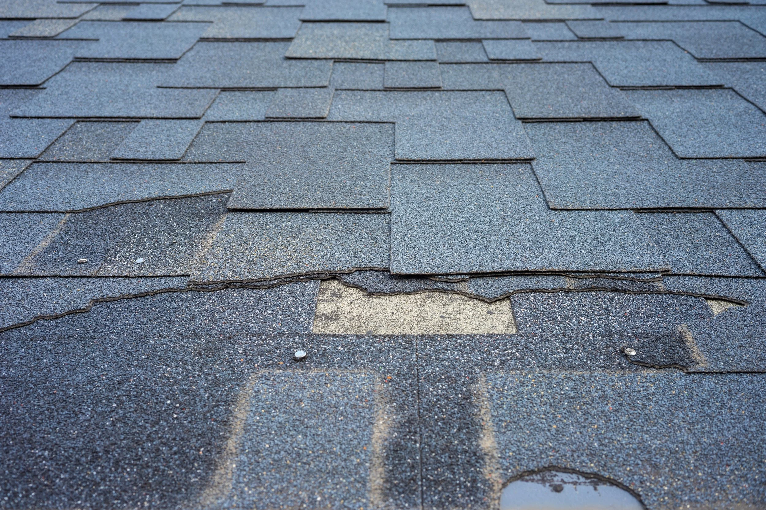 Spring Is Here, Albany — Is Your Roof Ready for What's Next?