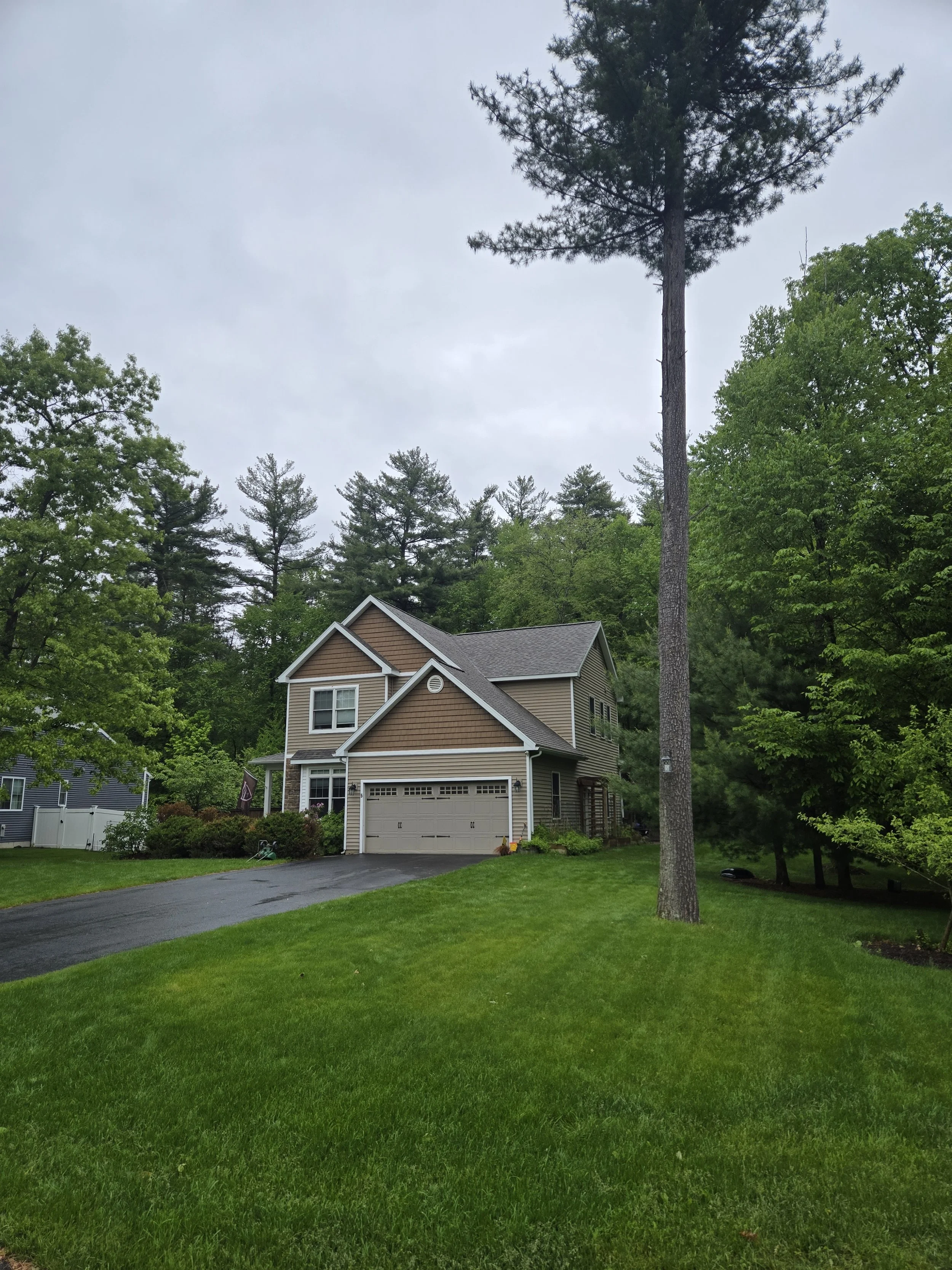 20250522_081756 residential shingle plum poppy.jpg