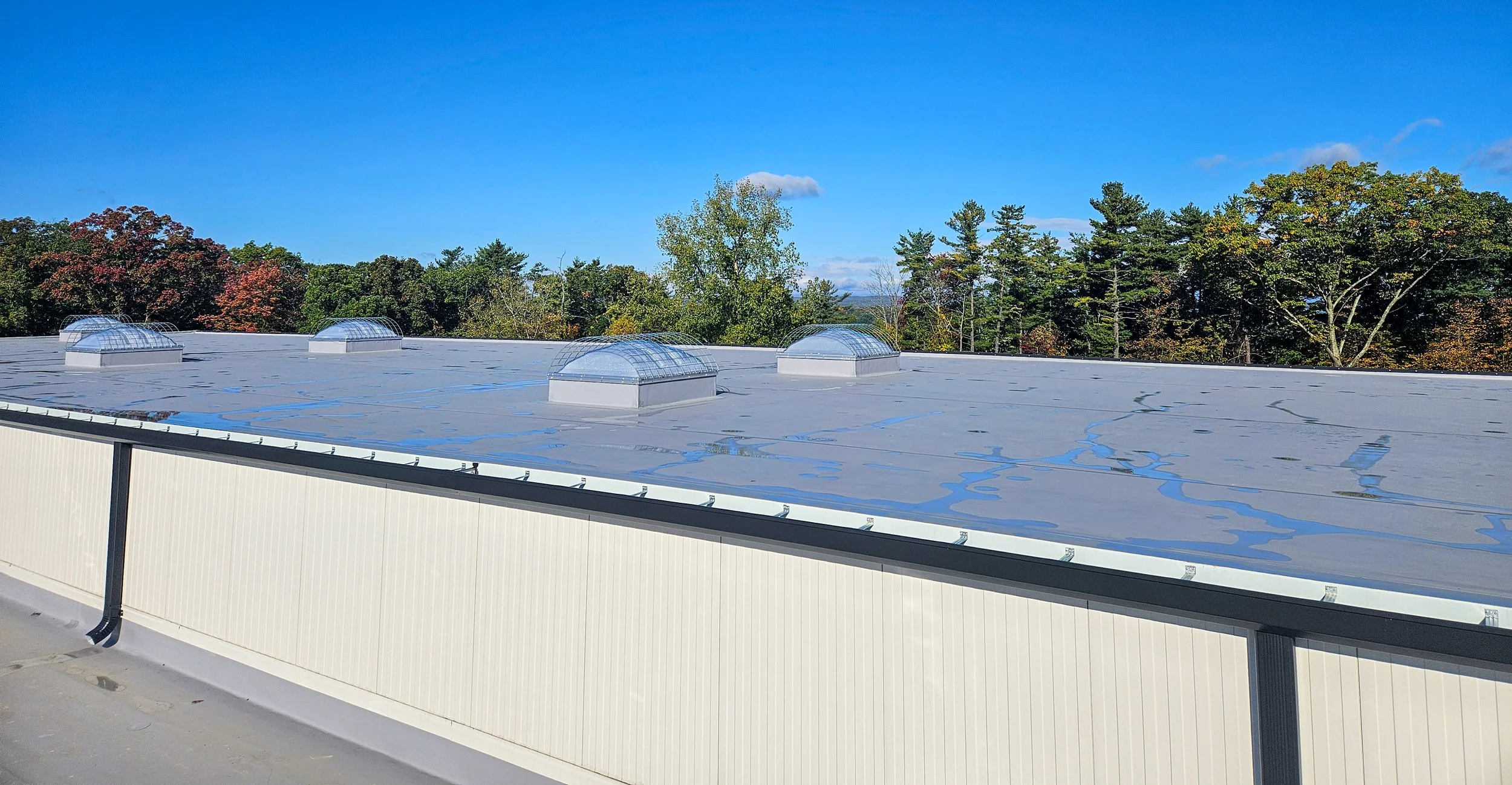 Flat commercial building roof with four small domed skylights, surrounded by trees with changing leaves under a blue sky.