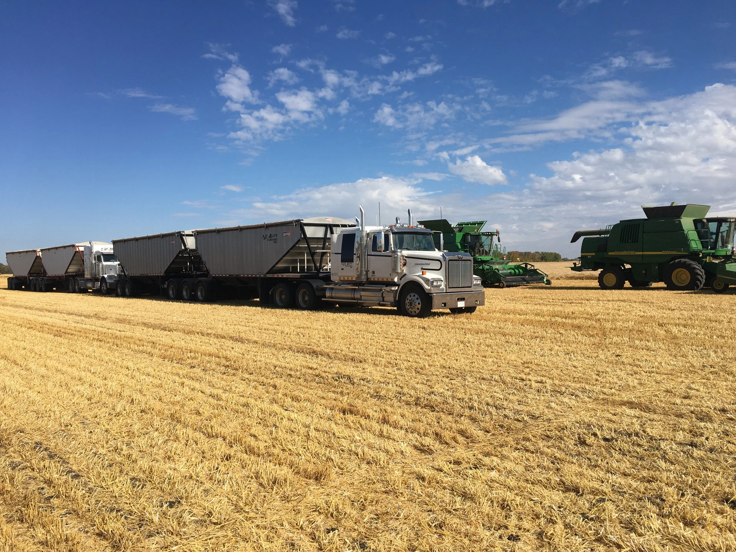 A line of large trucks and green harvesting machinery on a wheat field under a partly cloudy sky.