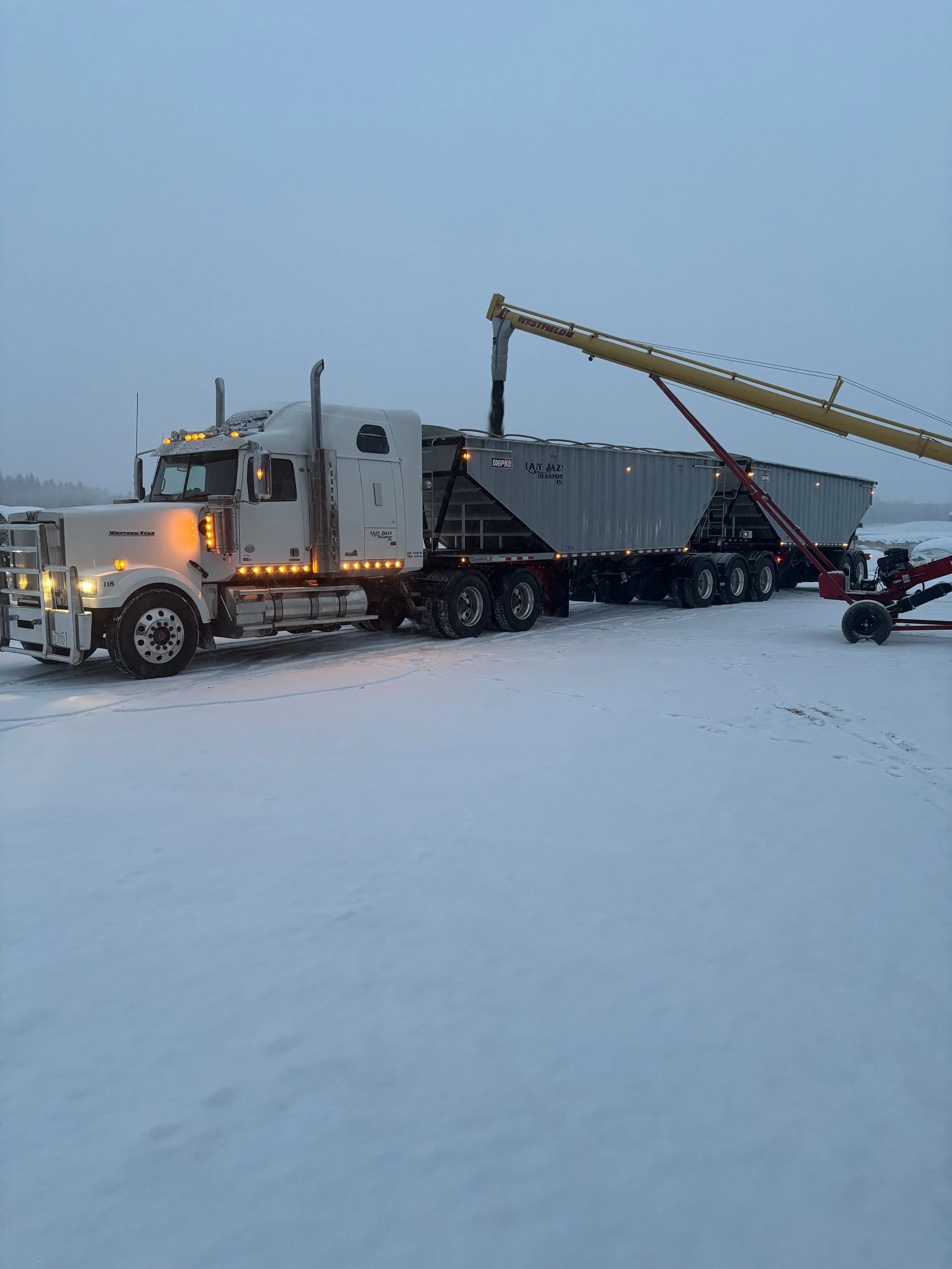 A large semi-truck with a white cab and black trailer is on a snowy ground, being refilled or loaded with black material from a yellow crane with a red arm during cloudy, wintry weather.