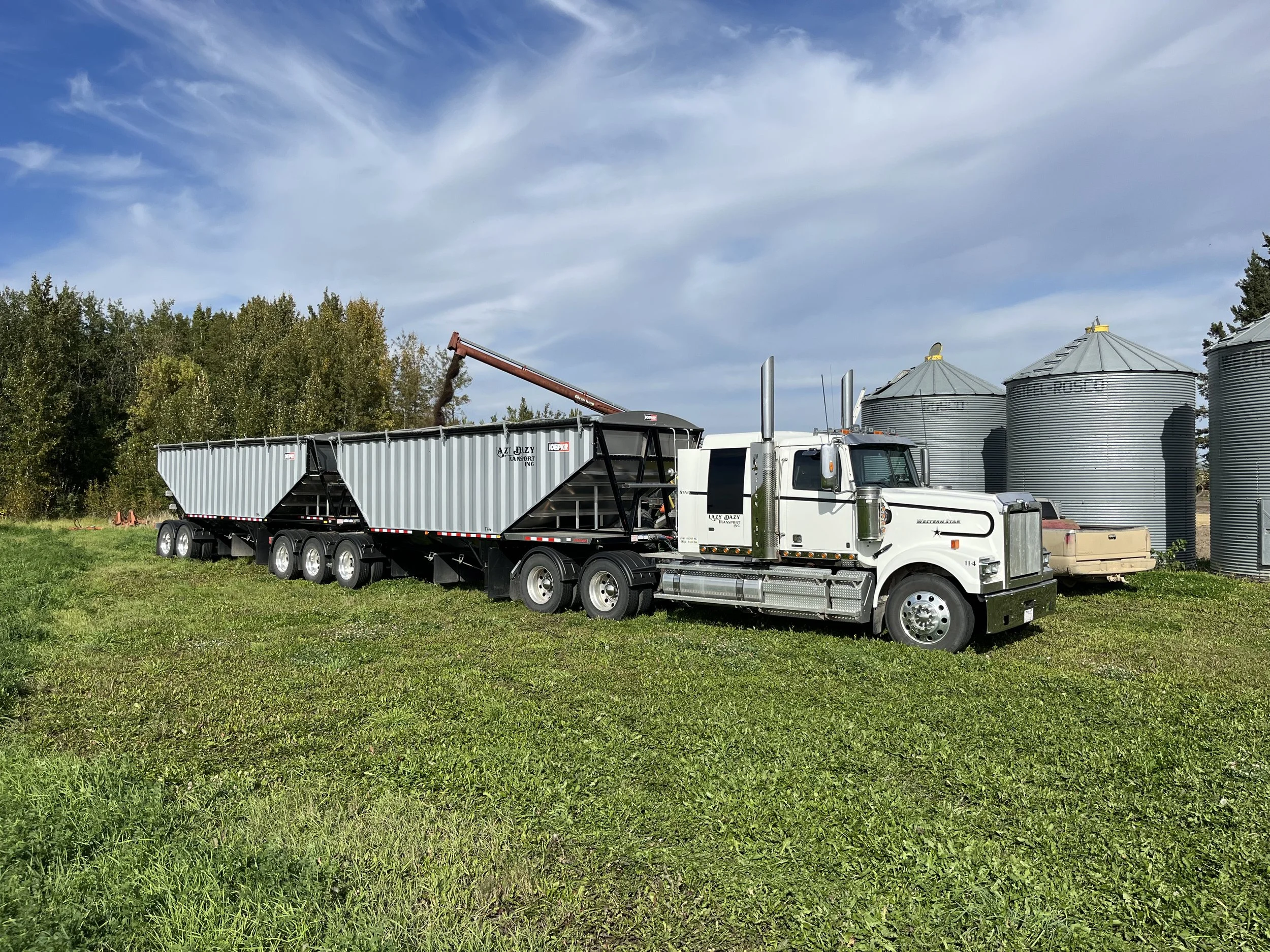 A large white semi-truck with a black trailer carrying a grain hopper, parked on a grassy area with silos in the background and a partly cloudy sky.