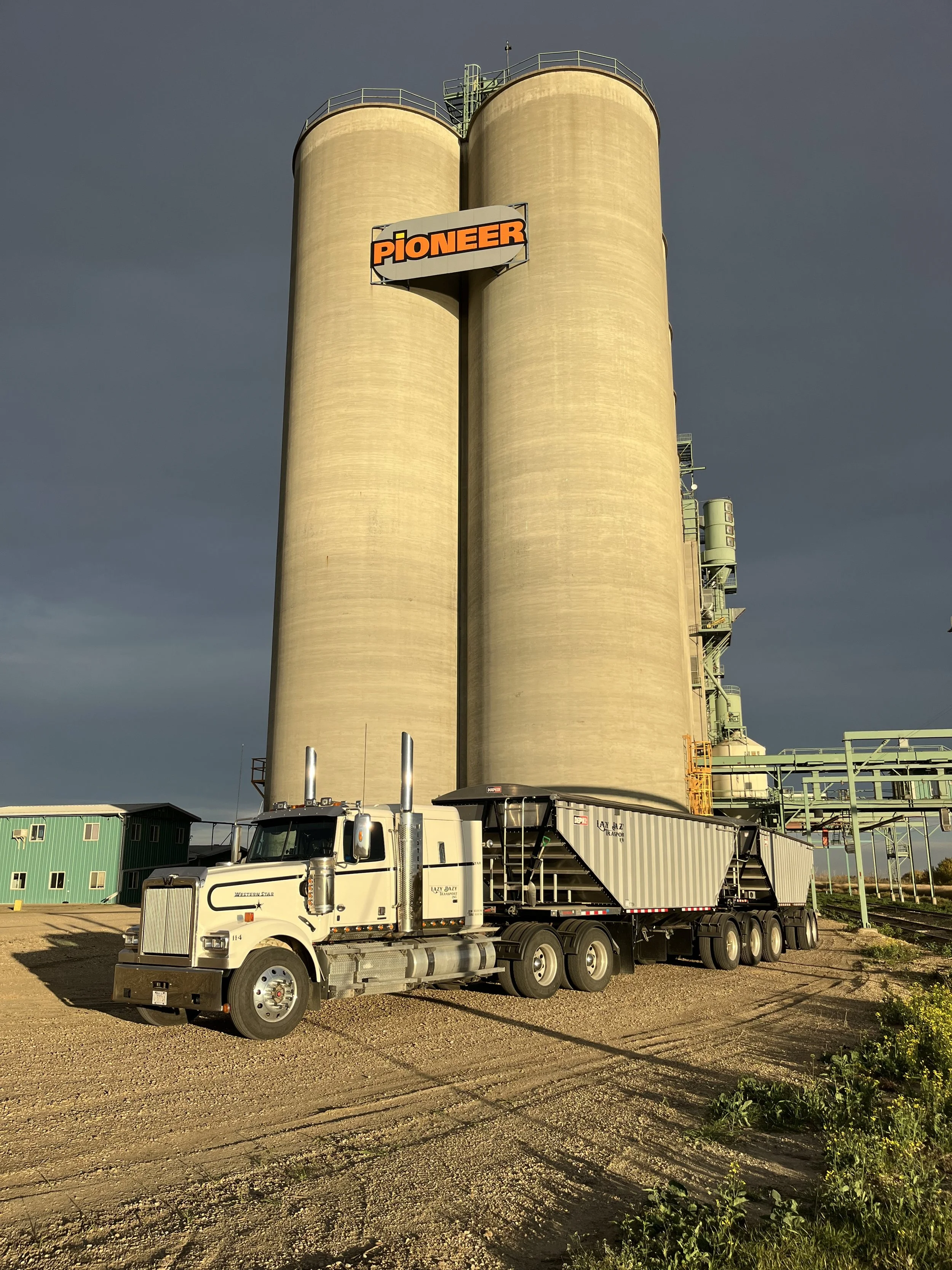 A large semi-truck with a white cab and black trailer parked in front of two massive beige silos with a sign that says 'PIONEER' on one silo likely at a farm or industrial site.
