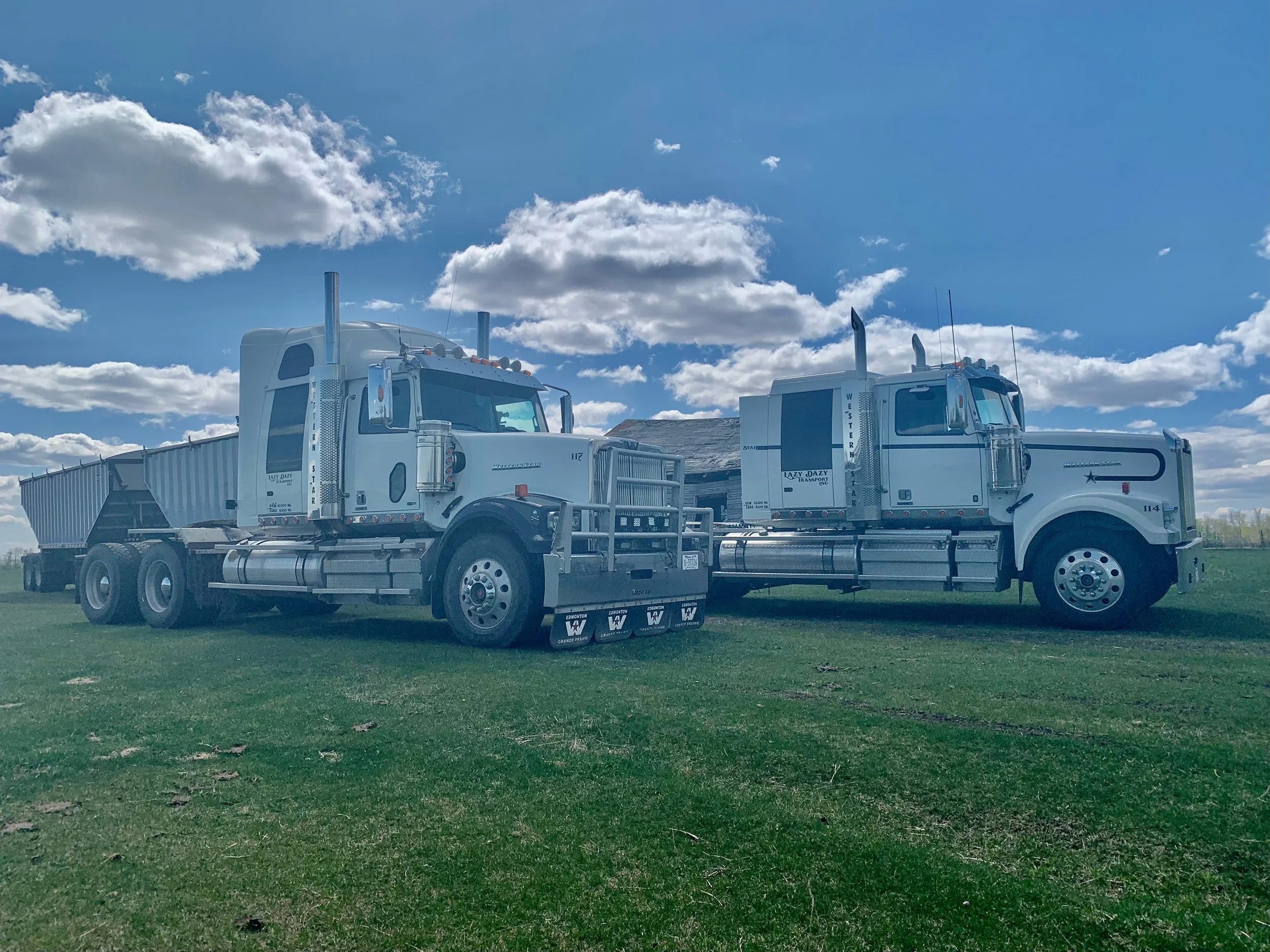 Two large white semi-trucks parked on green grass under a partly cloudy sky, with a small shed behind them.