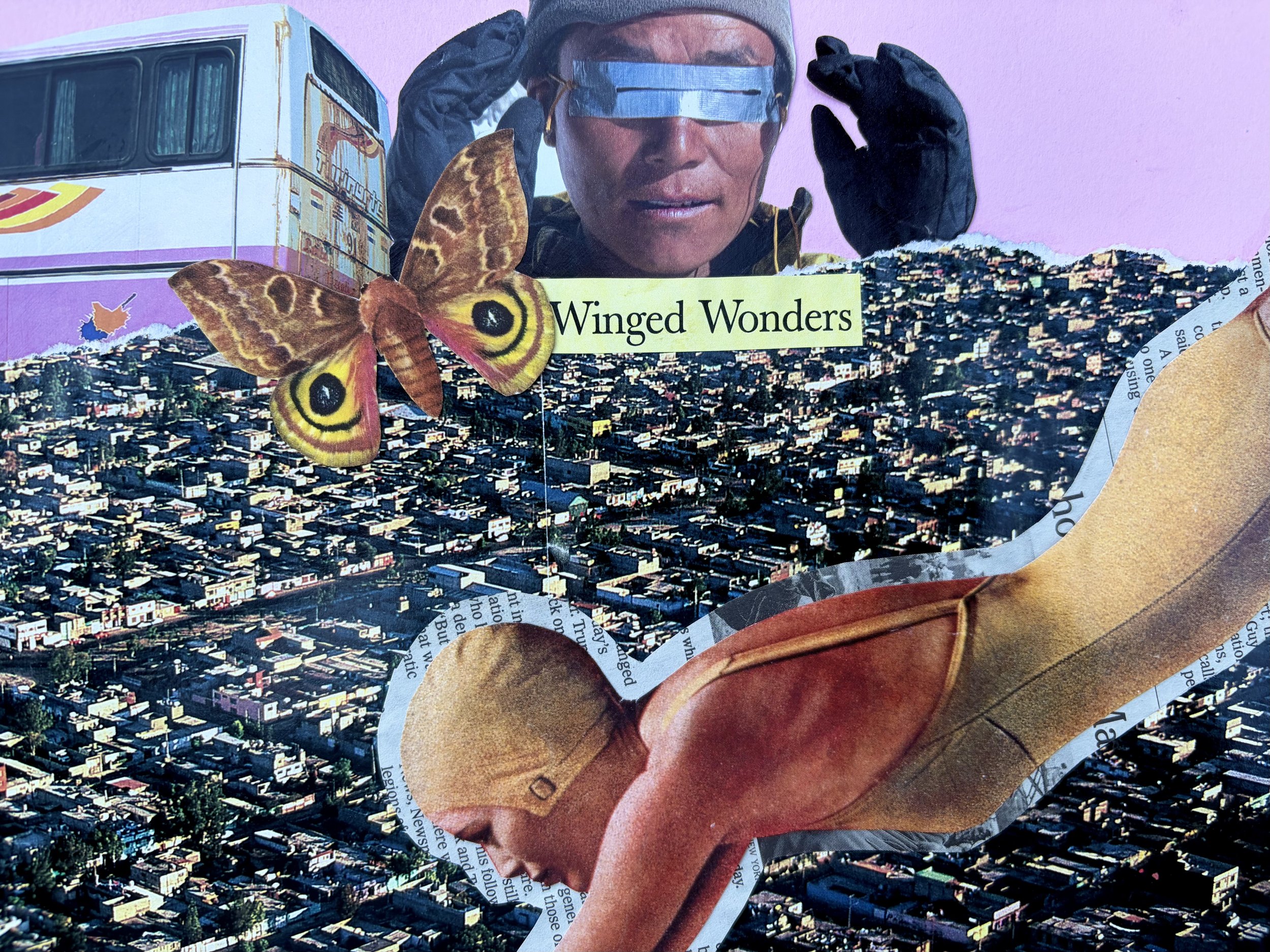 Winged Wonders *SOLD