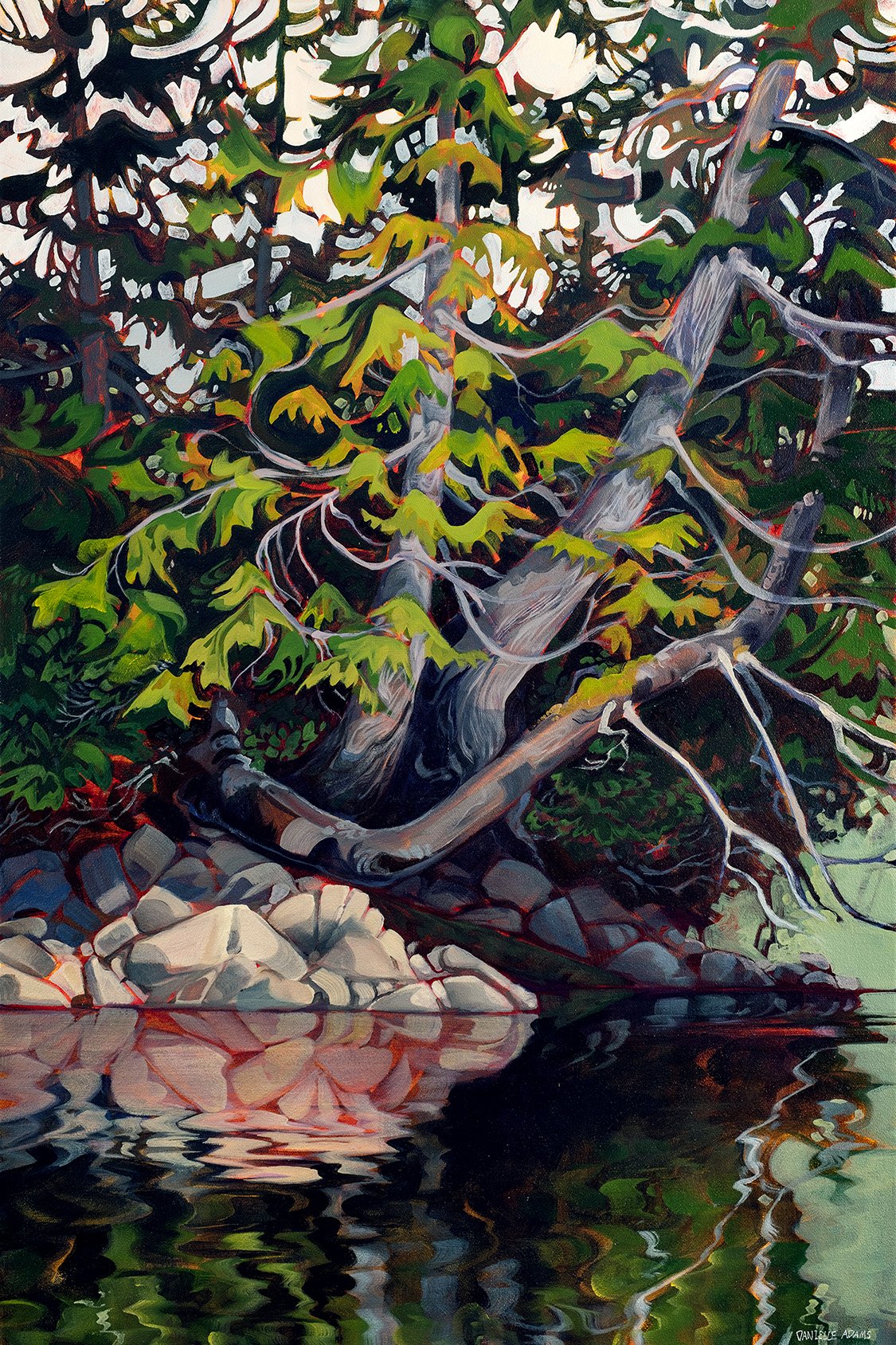 Mid Coast Tangle 1
20x30" Acrylics on Canvas