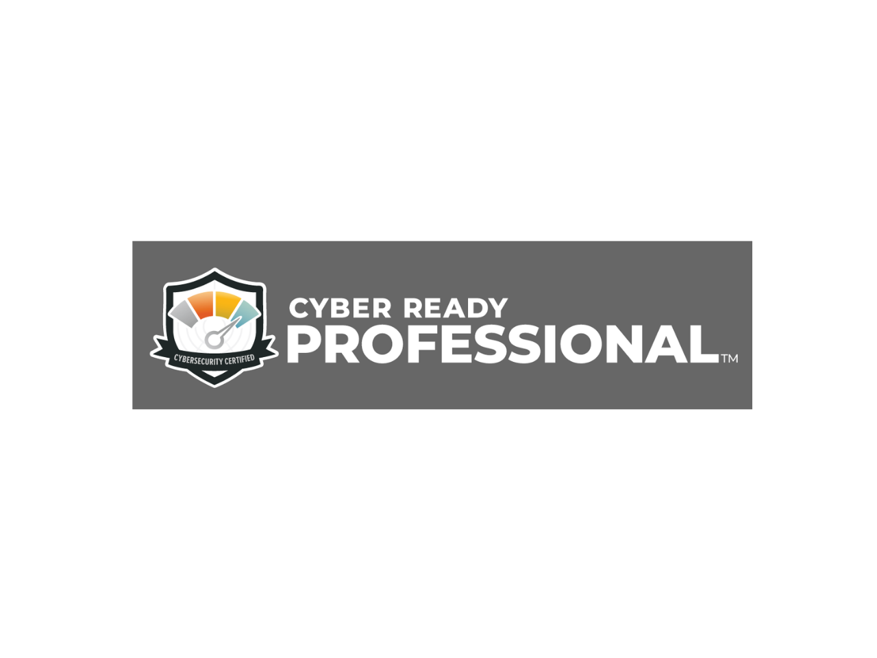 Cyber Ready Professional (1).png