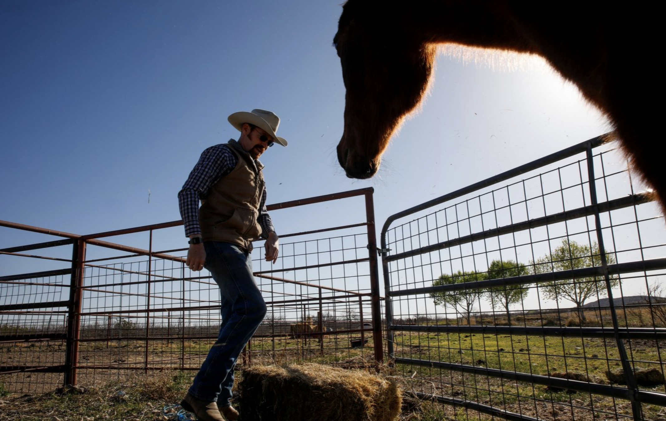 Jack Armstrong prepares to throw a bale of hay and alfalfa over the fence into a pen of Texas Longhorns while his horse watches, at the family ranch in Balmorhea, Texas. Their ranch house and farm sits over 40 acres of land in the small, West Texas t