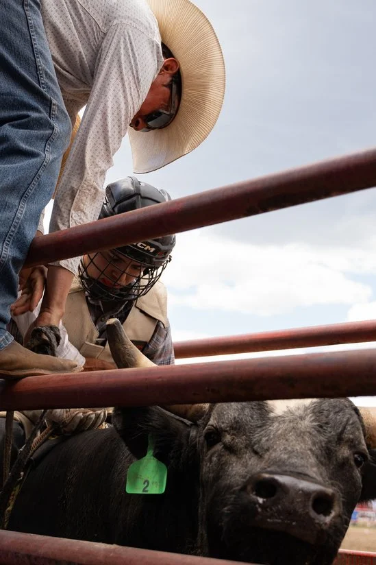 A bull rider prepares to compete during the 100th Anniversary Maverick Rodeo in Cimarron, New Mexico, on July 4, 2023. | Megan VanVlack