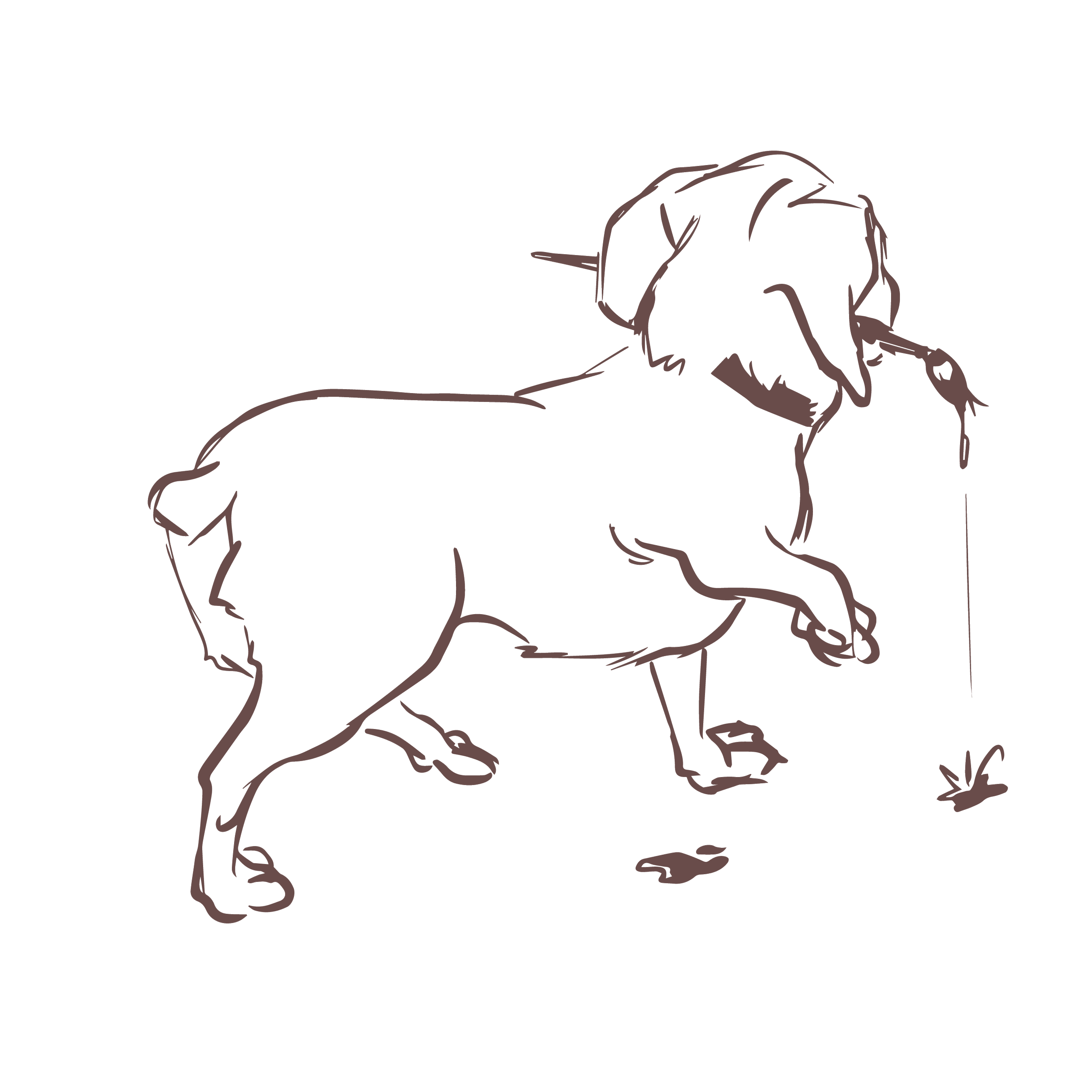 A line drawing of a dog playing with a stick and a small plant on the ground.